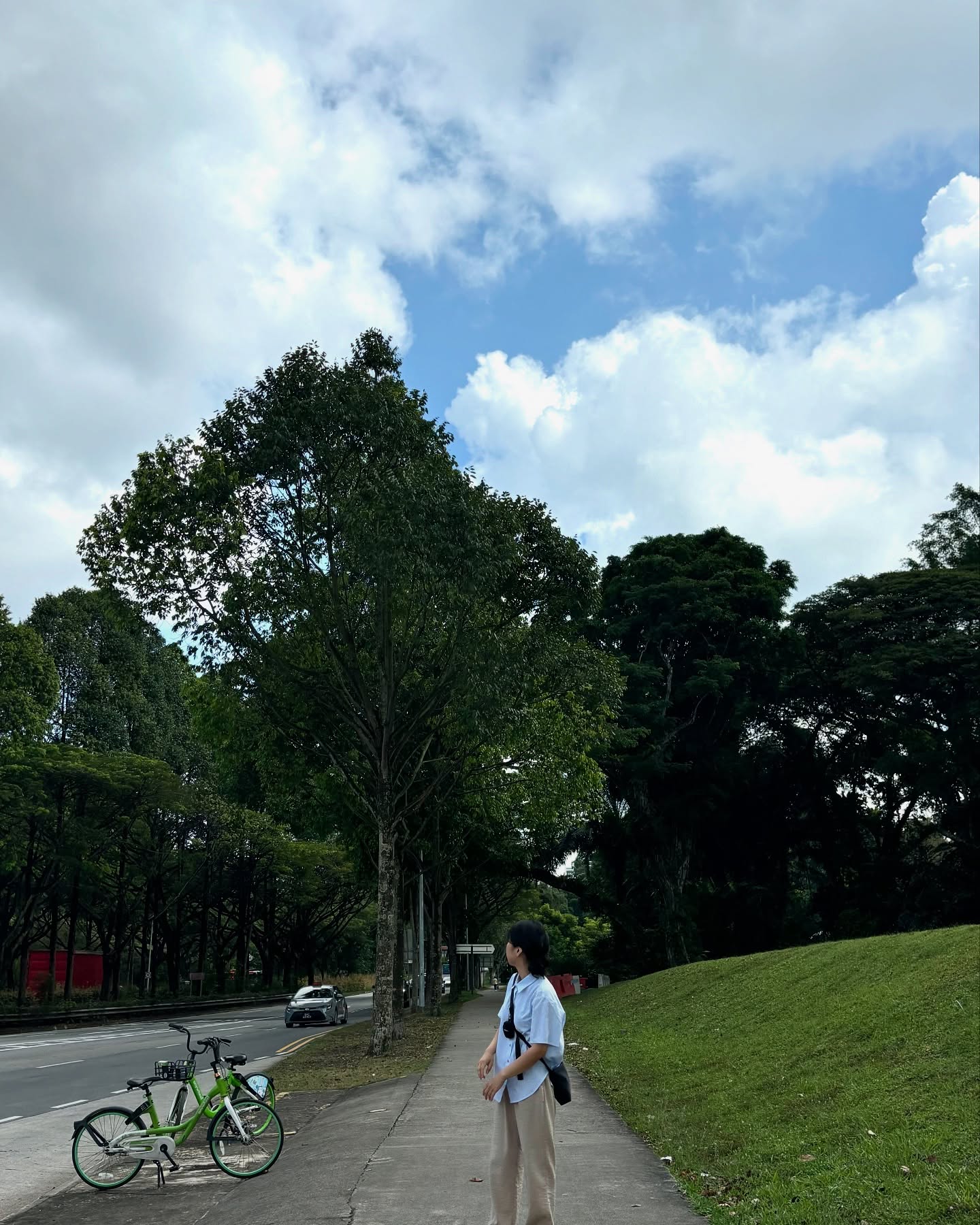 🇸🇬 우당탕탕 싱가포르 셋째 날 2024. 10. 9.

셋째 날 아침으로 인스타에서 핫한 싱가포르 맥도날드 퀸즈웨이 갔다👌🏻 이렇게 감성 낭낭한 맥도날드 보셨나요,, 가는 길은 험난했지만 대대대만족!! 사진 찍느라 시간 다 보냄ㅎ 싱가포르 맥도날드 한정버거 ‘버터 밀크 크리스피 버거’ 먹었는데 레알 패티 육즙 빵빵🙂‍↕️ 파인애플이랑 조합 미쳐따 후회 없는 맛 ㅠㅠ 사진 보니까 또 먹고싶음, 날씨 좋다가 맥도날드 들어오니까 갑자기 비 뉴스 ㅎ 다 먹을 땐 또 그침 아임 날씨요정🧚🏻 그리고 오차드로드 쇼핑하다가 빵스크림 먹어주고 난 민트ㅎ 애들이 내껀 먹어보지도 않음ㅠ 공항 가기 전 마지막 한끼로 성시경 먹을텐데에 나온 대식가에서 새우국수! 오늘도 알차게 먹고 다 맛있었음ㅎㅅㅎ 창이공항 분수 보고 공항에서 만난 주술회전이랑 괴수8호 ㅋㅋㅋㅋㅋㅋ 여기서 보니 반갑^*^ 내 사랑 호시나랑 찰칵🙃

#싱가포르 #싱가포르여행 #우정여행 #맥도날드 #맥도날드퀸즈웨이 #창이공항 #또가고싶다