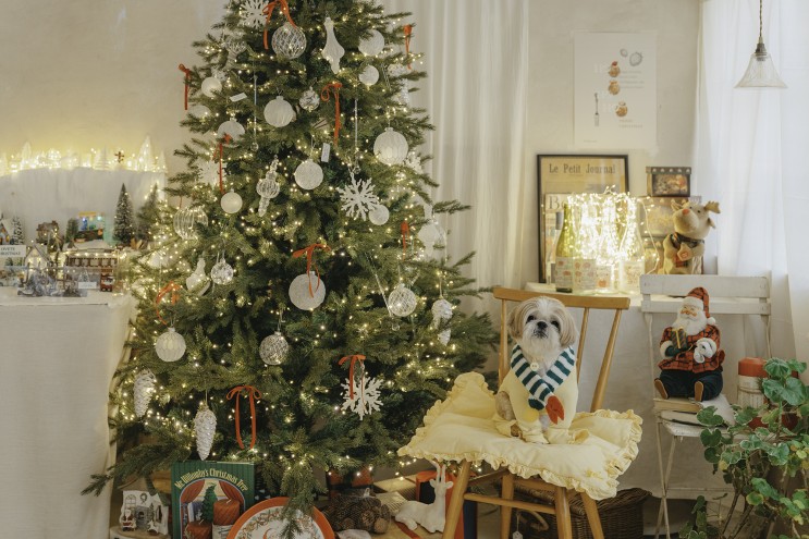 사진 찍기 좋은 애견동반 카페﹝오브테﹞🐶🎄 동인천 디저트카페