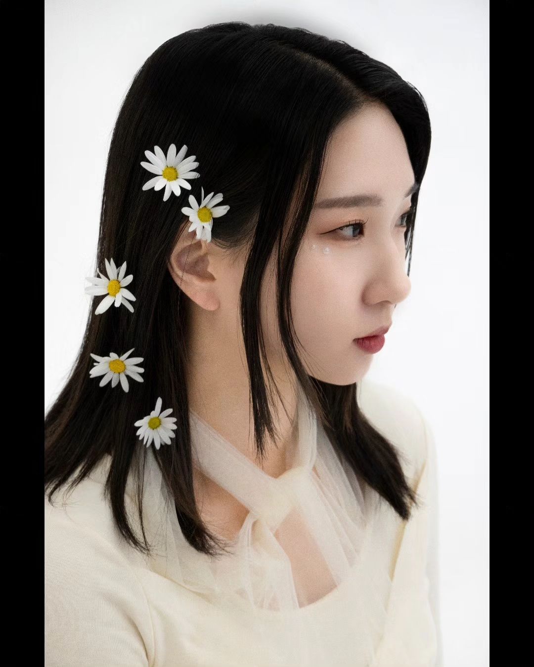 2024.03.16 데이지 잔뜩🌼