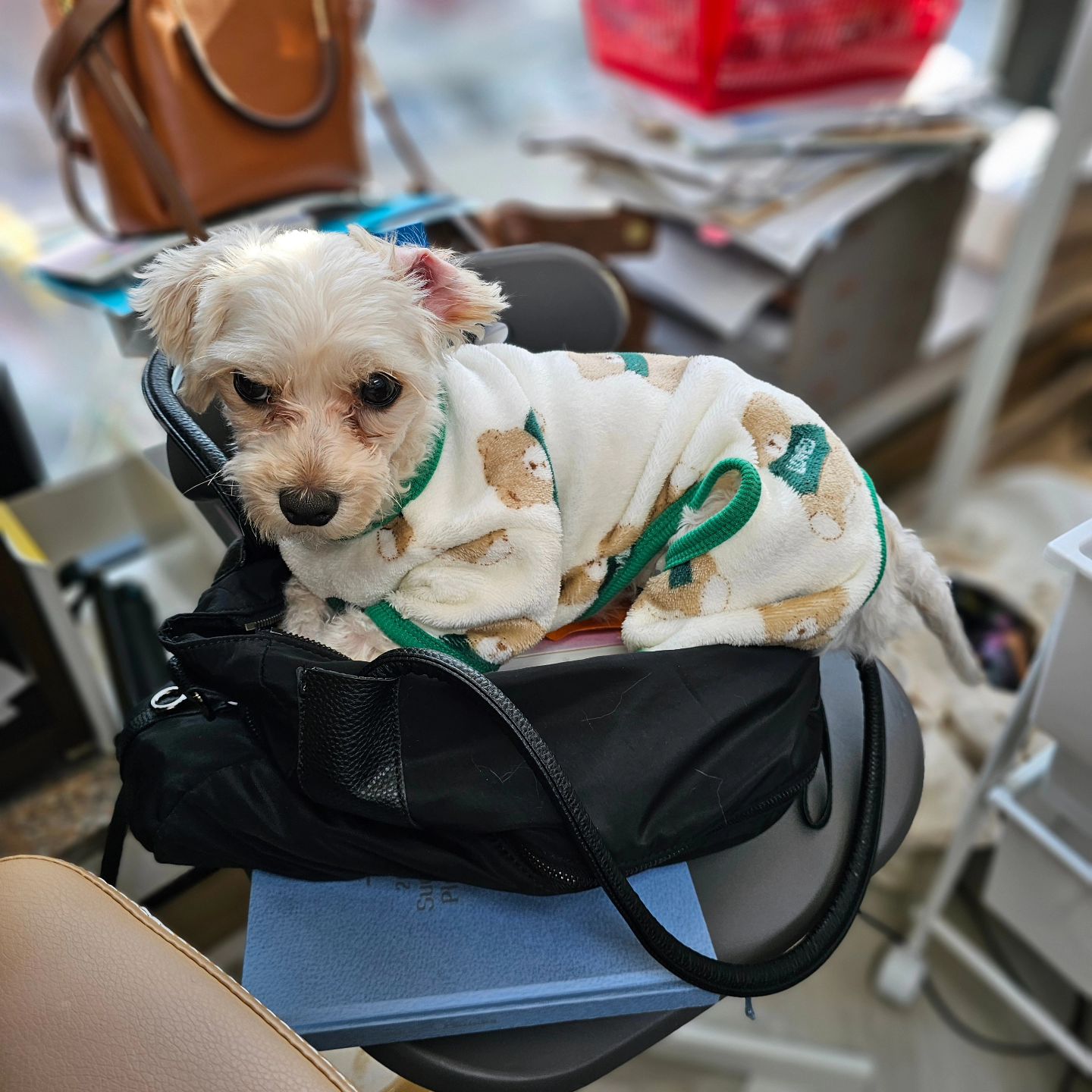 니가..고양이냐

고양이들이랑 살더니 하는짓이 닮아가네 🤣 

#솜털이