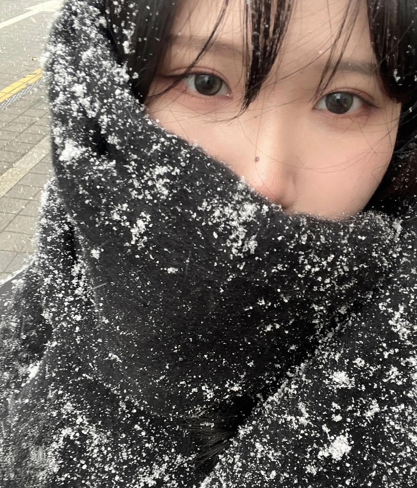 눈은 좋지만 집에 갈래요..