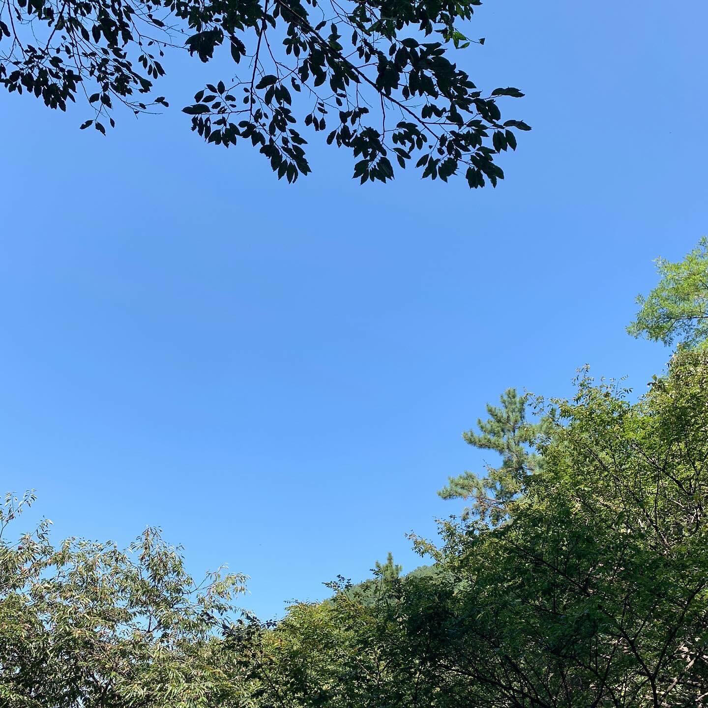 #추석연휴 #오랜만에 #등산 ⛰️