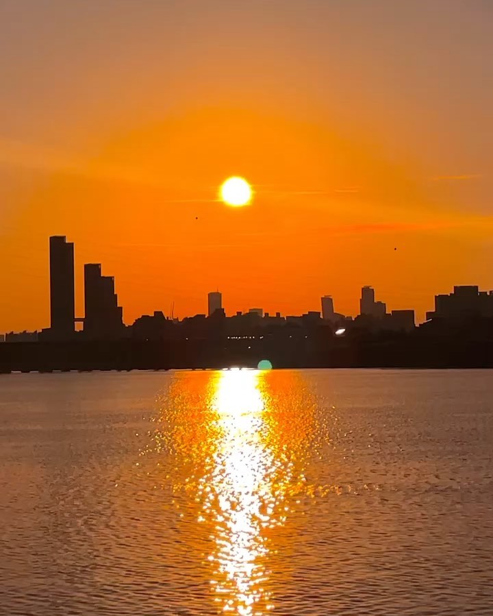 콘텐츠