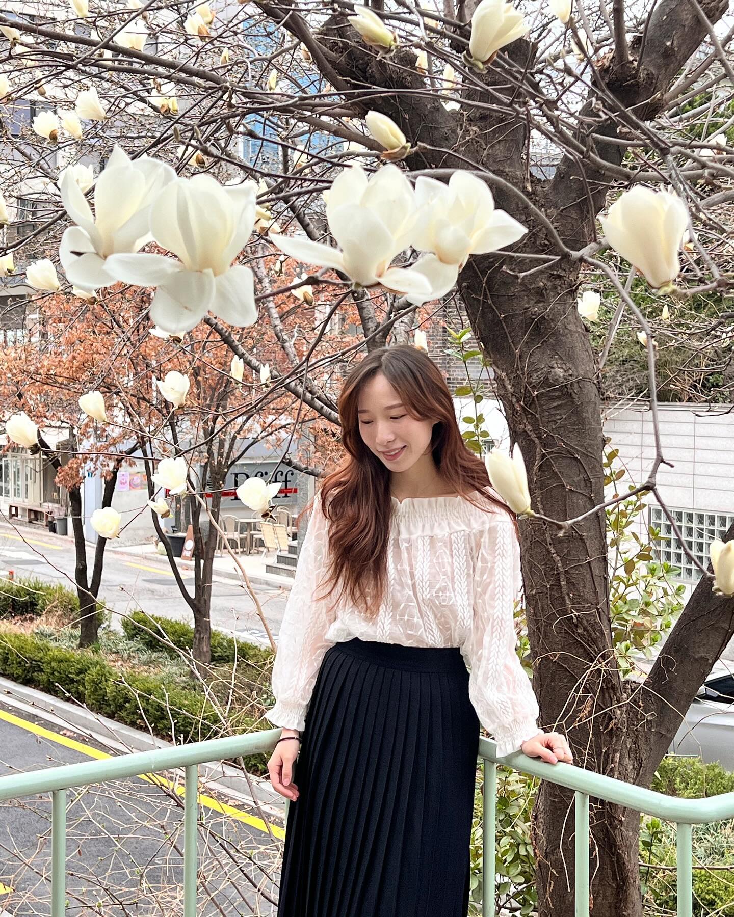 흐린 날 쨍한 날 모두 예쁜 곳
목련 아래에서 디저트 예쁜거 시켜놓고 커피 한잔 어때요🫧😌

매해 봄이면 사랑하는 사람과 함께 오고 싶은 곳을 
찾은 것 같아 기분이 좋아요🤍
목련이 지기 전에 서둘러 다녀와 보세요 흐흐 
활짝 핀 목련에 기분이 몽글몽글해질 겁니다!

📍마가렛 연남
▫️홍대입구역 3번출구

아! 저 기가막힌 벚꽃뷰 하이볼 맛집 찾았어요! 
곰방 가져올게요🌸

#홍대카페추천 #서울목련