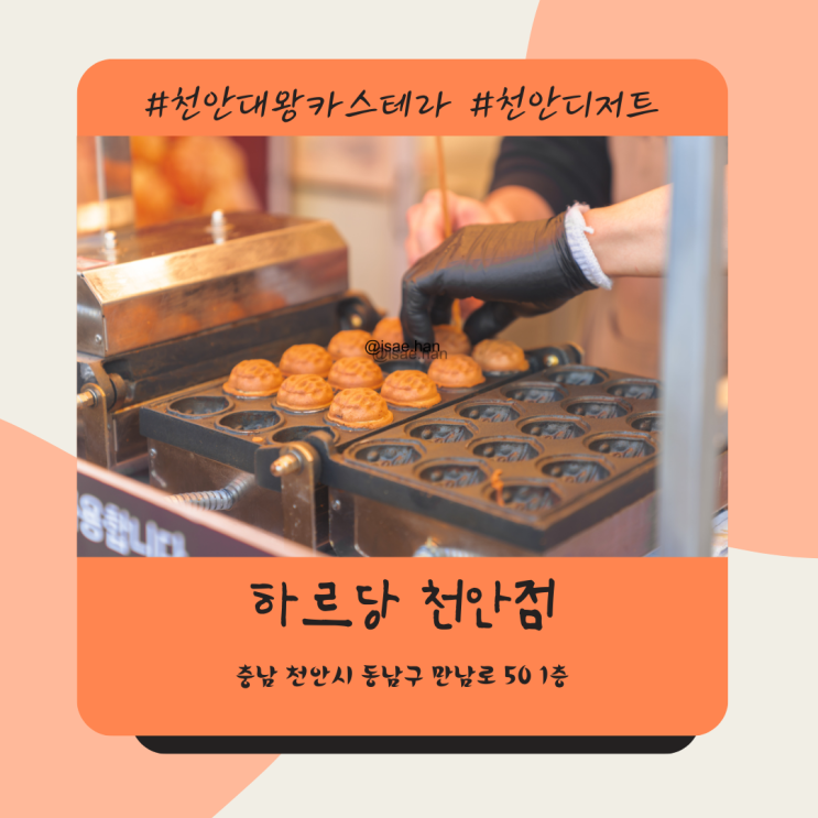 천안터미널 대왕카스테라 하르당 천안호두과자