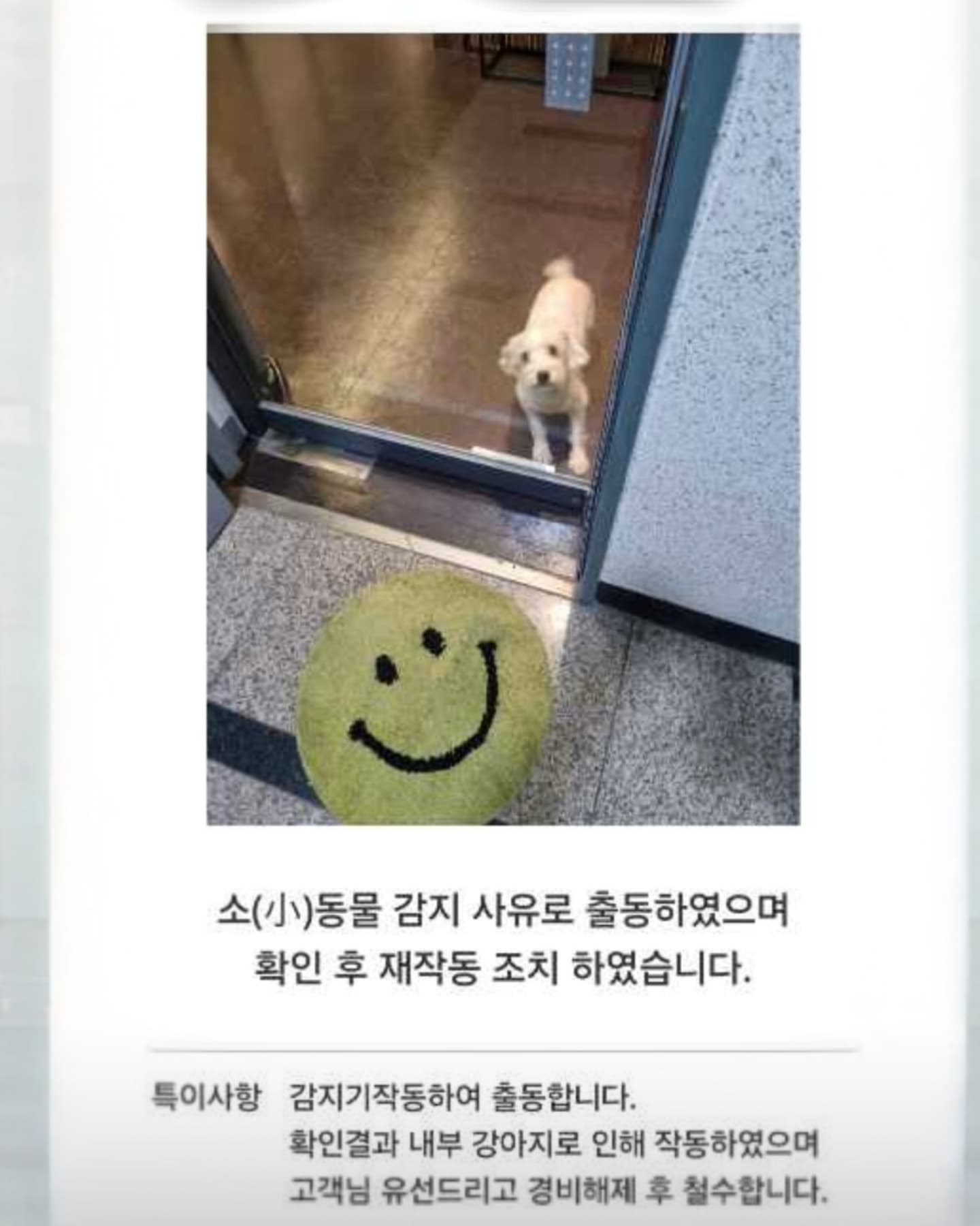 에스원이 찍어준 꼬순내 댕댕이...
우리 댕댕이 해외여행 하는동안
사업하는 지인한테 부탁했더니
사무실에 데려가서 잠깐 외출한 사이
경비 걸어놓고 갔다가ㅋ 에스원 출동
힝 🥲 ㅋ 꼬순내 나 ㅎㅎㅎㅎ 

장난꾸러기 울 댕댕이 얼빡컷 모음
웃고가세요! 

#댕댕이 #댕스타그램 #멍스타그램 #멍팔 #멍팔맞팔 #댕팔 #슈나우저 
#반려견 #멍멍이그램