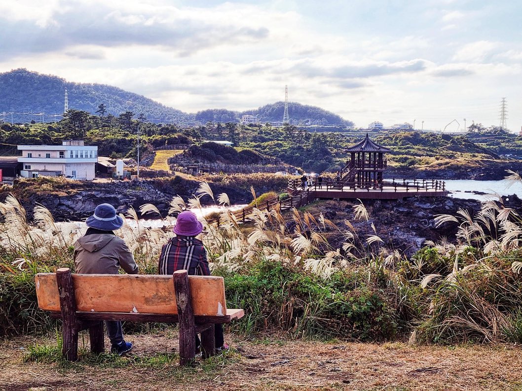 #착한 김아들 

오늘 학교 째고 …

#조부모님 모시고 

#성산일출봉 
#바람벽에흰당나귀 
#함덕해수욕장 
#닭머르 

엄마가 시킨대로 코스 안내 하고 

성산 일출봉 오르는 내내 할머니 

손잡아 드리고 … 할머니가 엄마보다 훨씬 나아요 ㅋㅋ 

#립서비스 를 가장한 #팩폭 날리고 ..ㅋ 

사진도 찍어드리고 ㅎ 할종일 고생 

👨🏻‍🦳 맹이 승범이 잘 키운거 말고 
잘한게 엄따 그쟈 

💁🏻‍♀️ 아부지 땡‼️‼️ 혼자 잘커써용 ㅋㅋ 

👨🏻‍🦳 승범이 진짜 착하다 
즈그 아빠 닮아서 ㅎ 

🙋🏻‍♀️ 아버지 ..정답‼️‼️ 입니다 ㅋ 

근데 김아들 ㅋ 내 닮아가 사진 
잘찍는구만 ㅋㅋㅋ 

#쏴라있네 
#제주도여행중