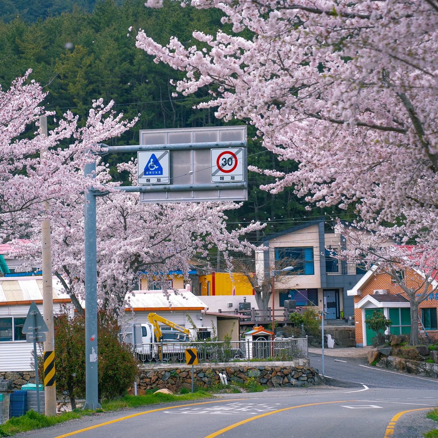 2024.04.04

#봄사진 #springphotoshoot #벚꽃사진 #樱花 #chreeyblossom #sonya7m4 #geojeisland #photography