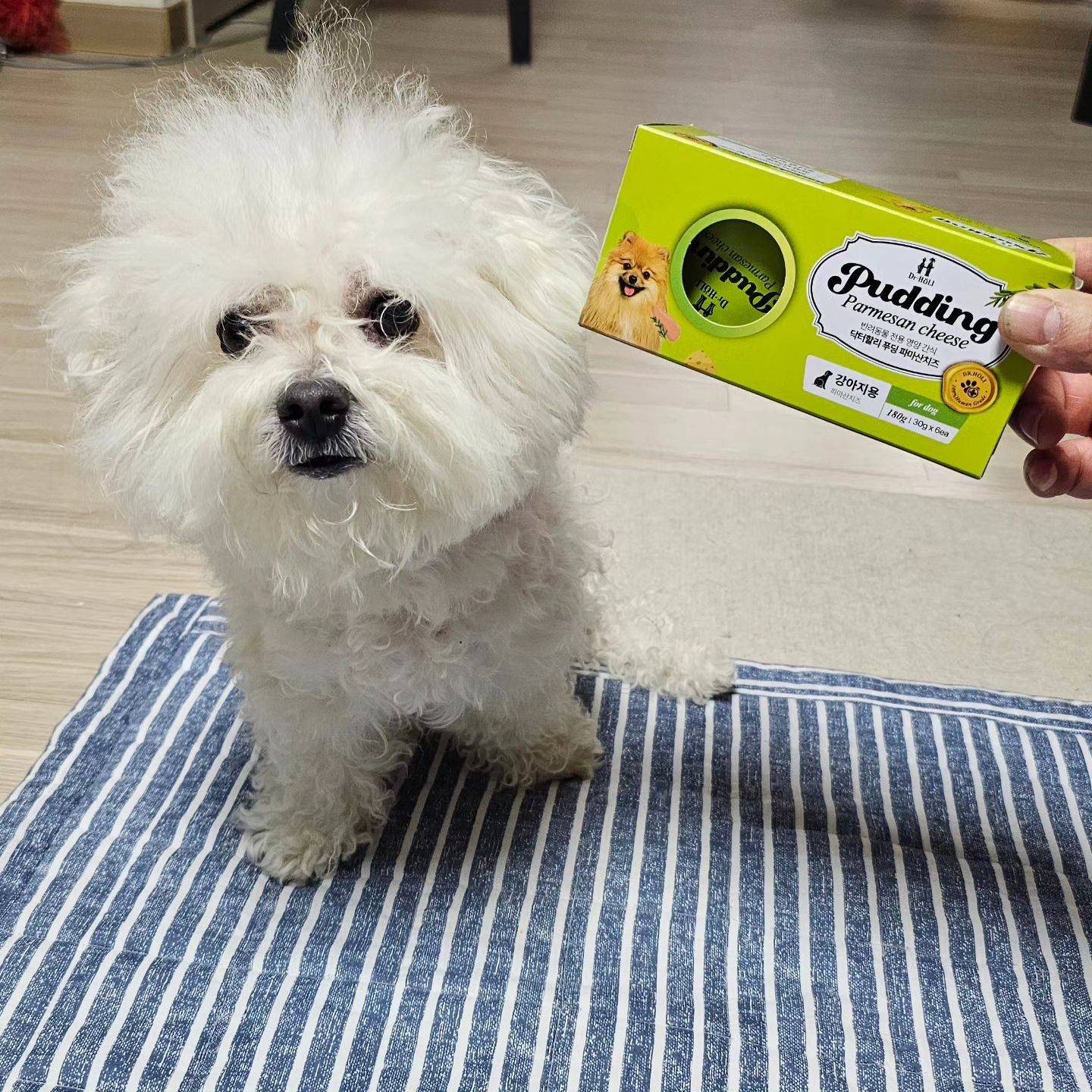 #협찬 drholipet
.
세상 맛있는 반려견 영양간식 ㅡ 닥터할리 강아지 푸딩:)
치즈와 락토프리 우유로 저염 영양간식이라 믿고 급여해요.
나트륨 함량이 낮아서 부담없이 급여가능하구요.

그리고 뼈건강을 위한 글루코사민과 타우란이 함유되어 있어요.
숑숑이는 워낙 뛰어다니는걸 좋아하다보니 관절걱정이 이만저만이 아니라  숑숑맘이 딱 원하는 성분으로 구성되어 마음에 쏙 들어요♡

총 3가지 맛이 있는데요. 리코타치즈, 파마산치즈, 단호박밀크예요.
국내산 닭고기 베이스라 숑숑이 취향저격!!

엄청 부드러워서 시니어반려견도 급여가능해요.

급여방법은 사료에 토핑해도 되고 단독급여도 가능해요.
숑숑이는 단독급여했어요.
숑숑이는 파마산치즈맛으로 먹었어요~
기호성은 말해뭐해ㅋㅋ 눈깜짝 할 사이에 뚝딱이예요.
.
#닥터할리푸딩 #펫푸딩 #펫치즈푸딩 #강아지치즈푸딩 #강아지우유푸딩 #강아지푸딩 #강아지간식 #강아지영양간식 #강아지저염간식 #치즈푸딩 #우유푸딩 #리코타치즈푸딩 #파마산치즈푸딩 #단호박밀크푸딩 #펫스타그램 #멍스타그램 #멍팔맞팔