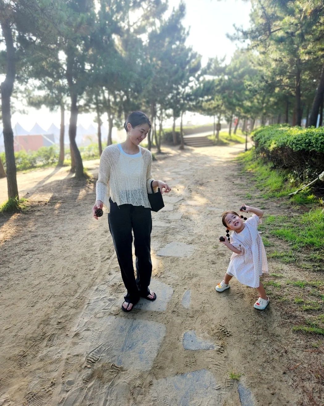 만화에서 보던 솔방울 실물 영접
우리는 다대포에 솔방울을 주으러 갔던가ㅎㅎㅎ