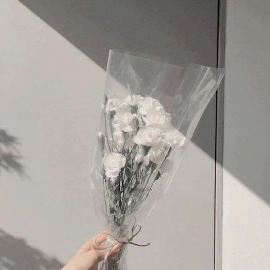 콘텐츠