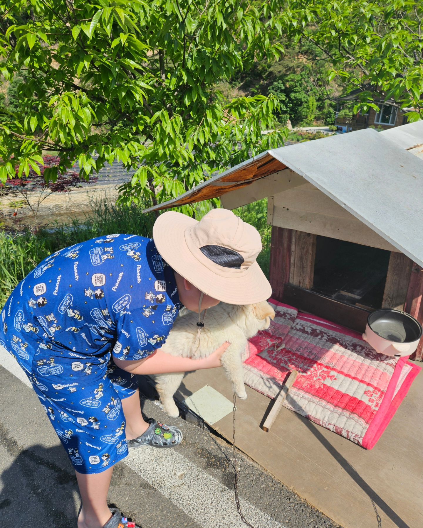 #새식구🐶 
#코코
#시골집 
#귀요미