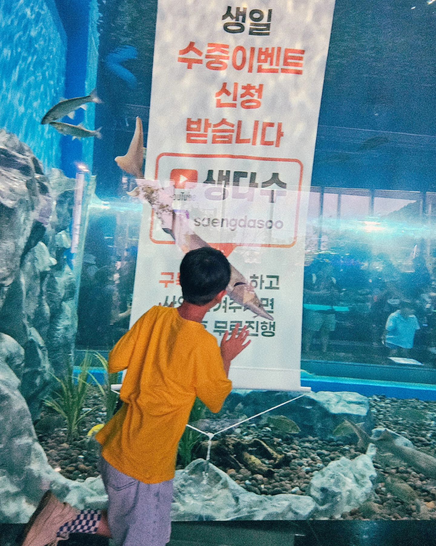 아침 일찍 일어나 도시락을 싸고,,

여기는 개관한지 얼마안되서 무료로 입장이 가능한 아쿠아리움, 곳곳에 쉴 수 있는 그늘막 테이블이 많아서 간단히 도시락도 까먹고..
다 좋은데 줄이 상당히 길었다..ㅎ

블로그로 봤을땐 규모가 작아보였는데 생각보다 규모가 컸다. 지환이도 너무 즐거워해줘서 엄마빠 오늘 기분 너무 좋아😚

너와 함께 하는 모든 시간들이 소즁해

#추억기록하기
#충북아쿠아리움
