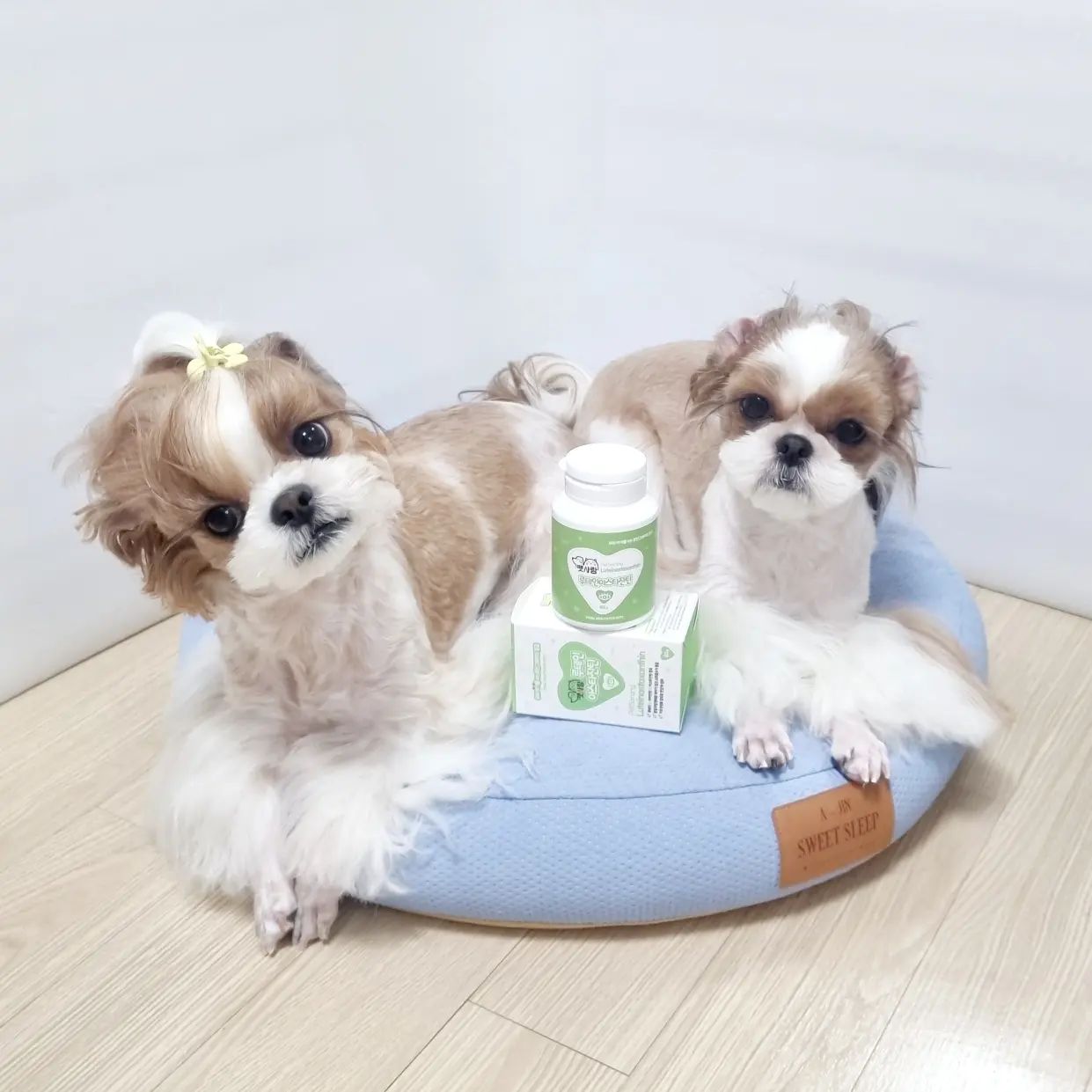 #협찬 #펫사랑
루테인, 자아잔틴 , 아스타잔틴 함유한 강아지눈건강 영양제로 맛과 영양 안전을 다 잡았답니다. 

인공첨가물 NO!
100%휴먼그레이드 등급원료로 HACCP인증을 받은 공장에서 국내 생산!으로 믿음가요.

반려동물의 백내장,녹내장예방 및 눈물자국 개선에
도움되지요.

​ TNS시스템과 분말 과립공법 제조로 복용과 
흡수에 용이 합니다( 반려동물들은 위장이 짧고 소화력이 약하지만 tns시스템을 이용해 소화와 영양제 흡수에 도움) 
눈을 건강하게 보호해주는 루테인지아잔틴과 눈의 피로를 줄여주는 빌베리분말 그리고 보습에 좋아서 안구표면을 촉촉하게 유지시켜주는 히알루론산 비타민 A,B,D,E 까지! 

강아지의 전반적인 눈건강에 굿!
사료에 뿌려서 섞어서 급여해도 좋고~
급수량 늘리는데 사용하기도해요.

기호성 좋아서 쉽게 눈건강과 면역력을 챙기고 있습니다.

.
.
.

#반려견눈영양제 #펫사랑눈영양제 #루테인아스타잔틴 #눈물관리 #펫바이오랩
#강아지영양제 #노견영양제 #반려견생일선물 #반려견눈꼽 #반려견루테인 #반려견필수영양제 #반려견눈물자국 #반려견눈영양제 #펫사랑 #펫사랑영양제 #반려견건강검진 #반려견혈액순환 #반려건보조제 #반려견백내장영양제 #믿고먹이는반려견영양제 #펫사랑필수영양제 

https://smartstore.naver.com/petsarang1