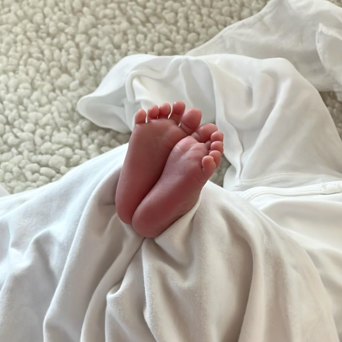 👶🏻➿♥️

➊ 완두콩 10알 옴뇸뇸
➋ 엄마 뱃속처럼 마음이 편-안
➌ 눈 희번덕 뜨기 5초 전
➍ 마음이 편-안 ver2
➎ 배냇짓 찰나의 순간!!!
➏ 초점책 보는 짱구볼살 이담찡

🏷️ #인생14일차 #신생아 #4월생아기