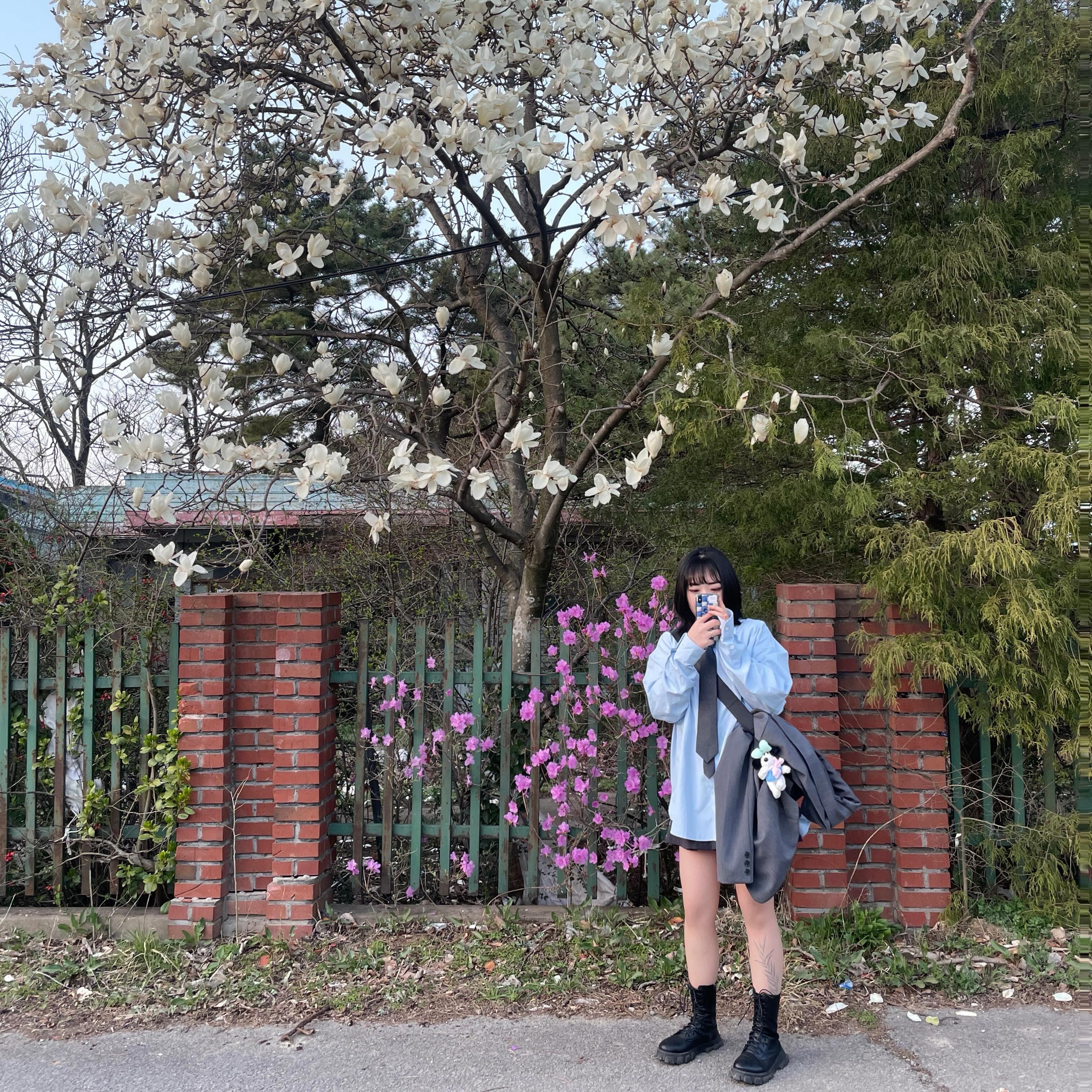 꽃들로 가득한 오늘 하루 🌼🤍 #서산 #카페모월 #유기방가옥 #애견동반여행