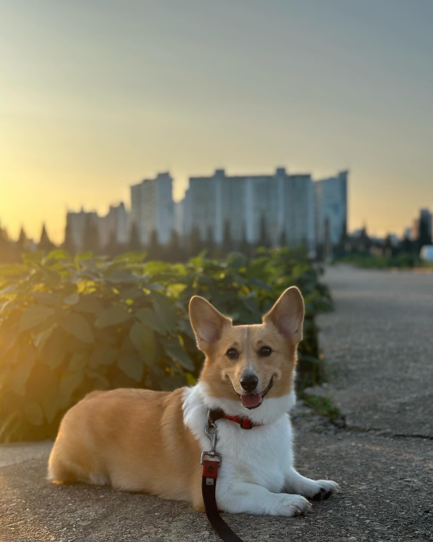 가을찌🍁