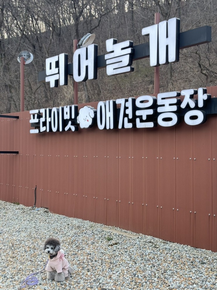 양평 뛰어놀개/ 양평 애견운동장 /경기도 프라이빗 애견운동장/양평대관 애견운동장