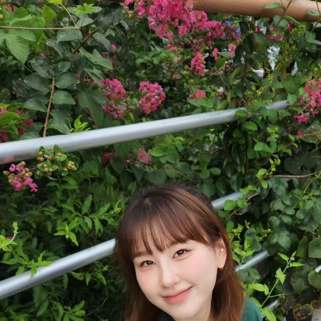 신혜 on Instagram: "#광고 × @standarderror_official [스탠다드에러 반팔티] IRT153 [컴팩트얀] 엔자임 워싱 올드스쿨 스탠다드에러 칼리지 클럽 반팔티 Deep green 착용 오늘은 동네산책룩~~! 오버핏이라