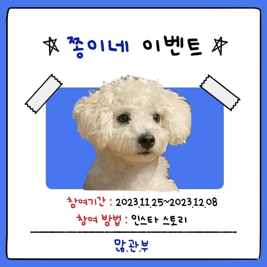 #쫑이네이벤트 #이벤트

친구들 ! 항상 글 올릴 때마다 예쁘다 해주고 ,, 
칭찬 한가득 해주는 울 친구들 너무 고마워 🫶
고마운 마음에 작은 이벤트를 준비했어 🥺🥺 

💙 참여기간 
2023.11.25 - 2023.12.08 

💙 참여방법 
1. jjong_0613 쫑이 팔로우하기
2. 스토리 공유 및 태그 
3. 참여완료 댓글 달기 ! 
갖고싶은 선물이 따로 있으면 같이 써줘 !! 

+ 반려동물 계정만 참여가능 ( 비공개계정 불가) 

💙 결과발표 
2023.12.11 게시글 및 개인 DM

상품은 내가 직접 사용해보고, 잘쓰고 있는 제품들로 
가져왔어! 상품 받으면 센스있는 후기 기대할께 🥰🥰
많이 참여 부탁해 🫶🫶

#팔로워이벤트 #친구들고마워