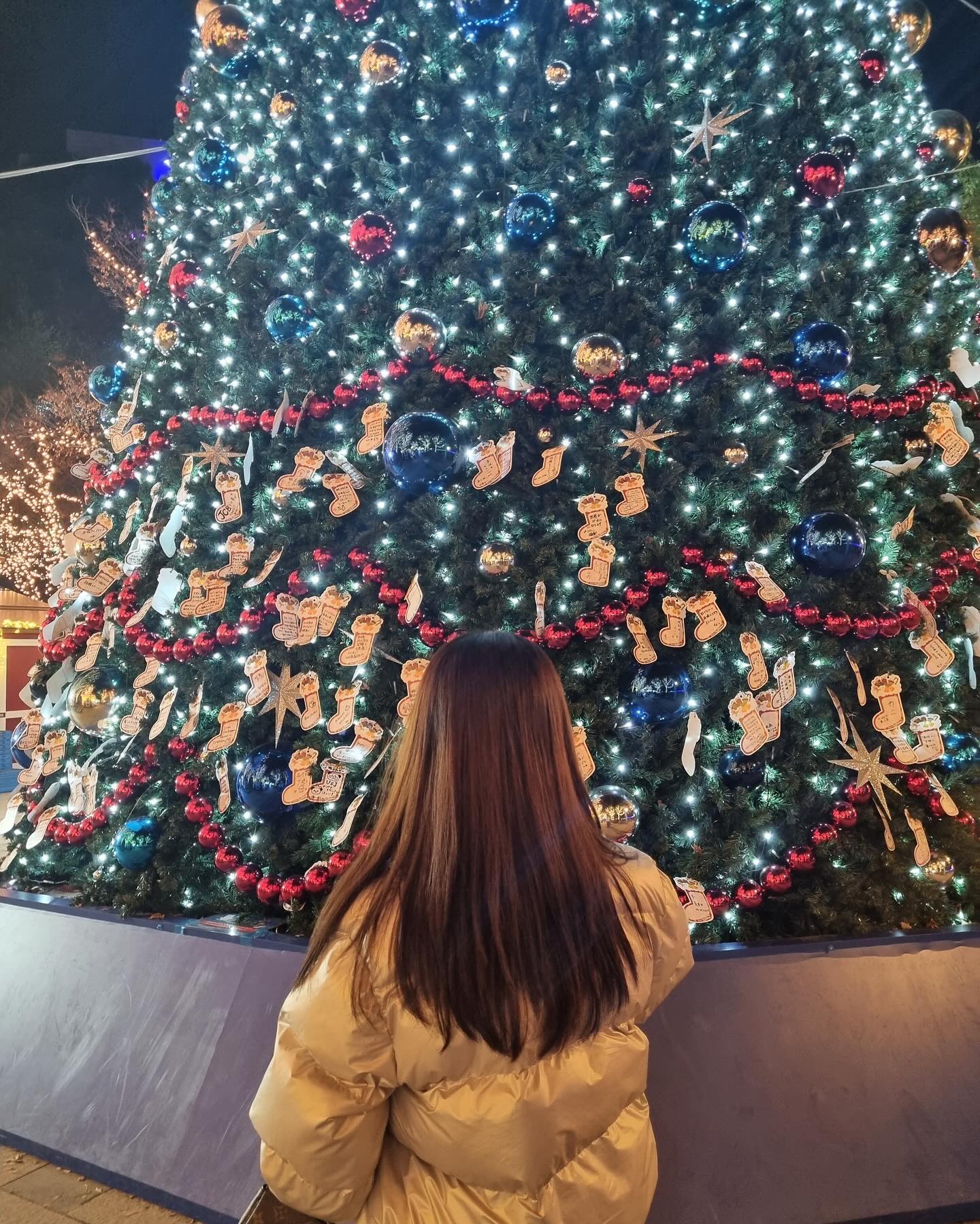 Fukuoka🎄Christmas (먹방여행…🐽)