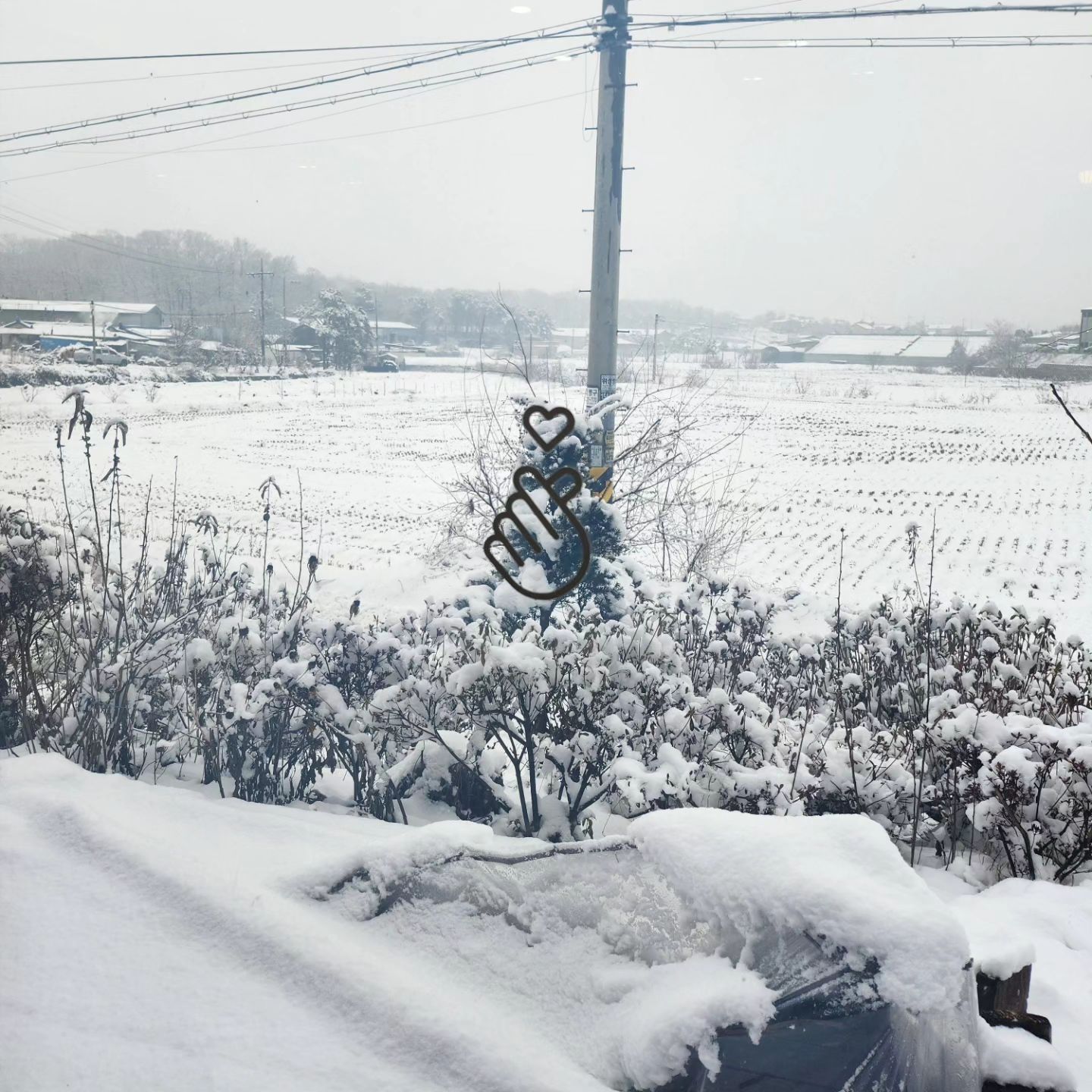 삼촌이랑 요상한 눈사람 만들고 썰매 타고 눈싸움도 하고 신나게 놀다 온 쟌쟌 눈도 안 털고 할머니한테 엄마 이르러 가는 뒷모습.... ㅎ.ㅎ