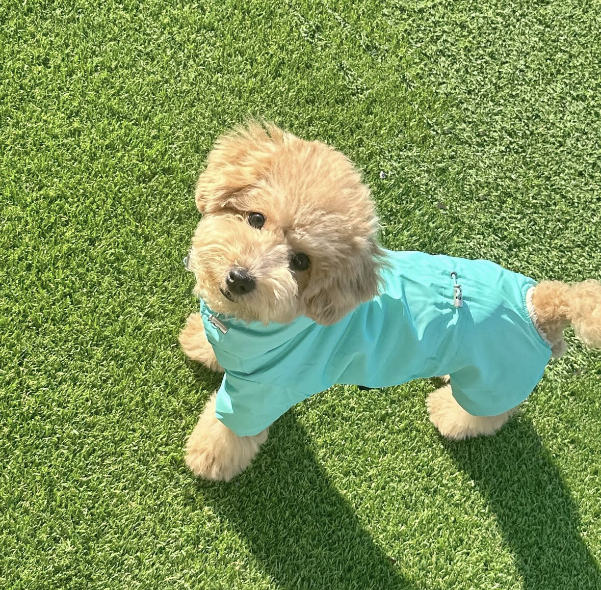 콘텐츠