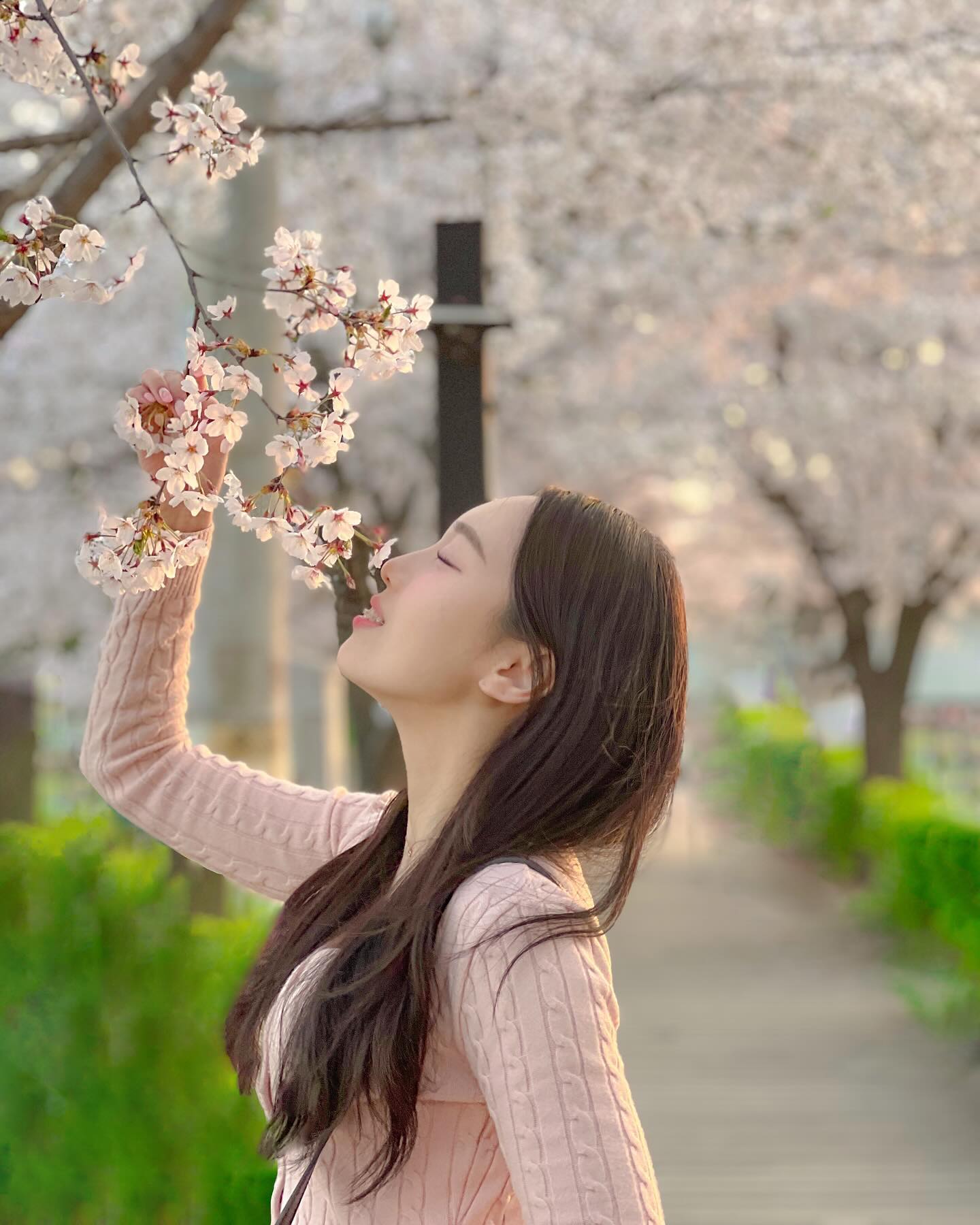 桜🌸