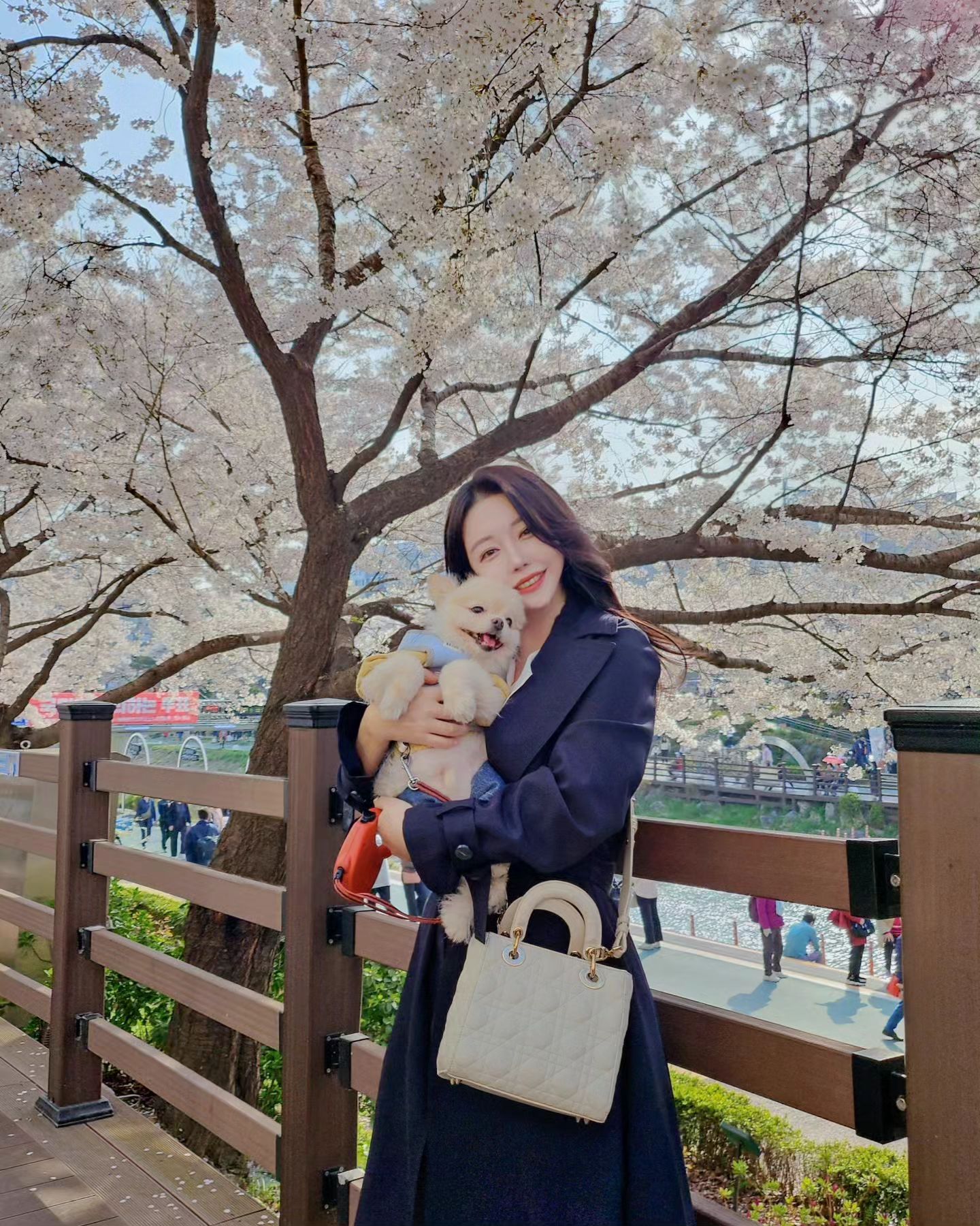 만개한 벚꽃 넘이쁘당 🌸
우리 슈슈는 더이쁘구 ❤️

수술도 항암치료도 잘끝났고 !
이제 나도 꽃길만 걷기를 ☺️