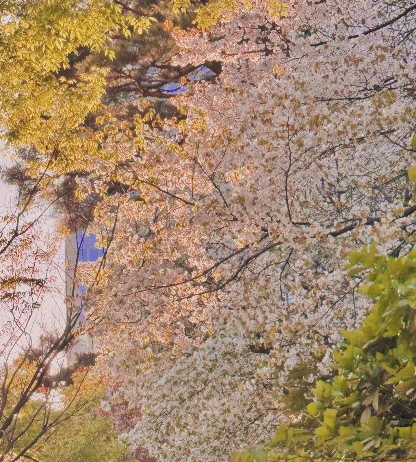 🧚🏻‍♂️