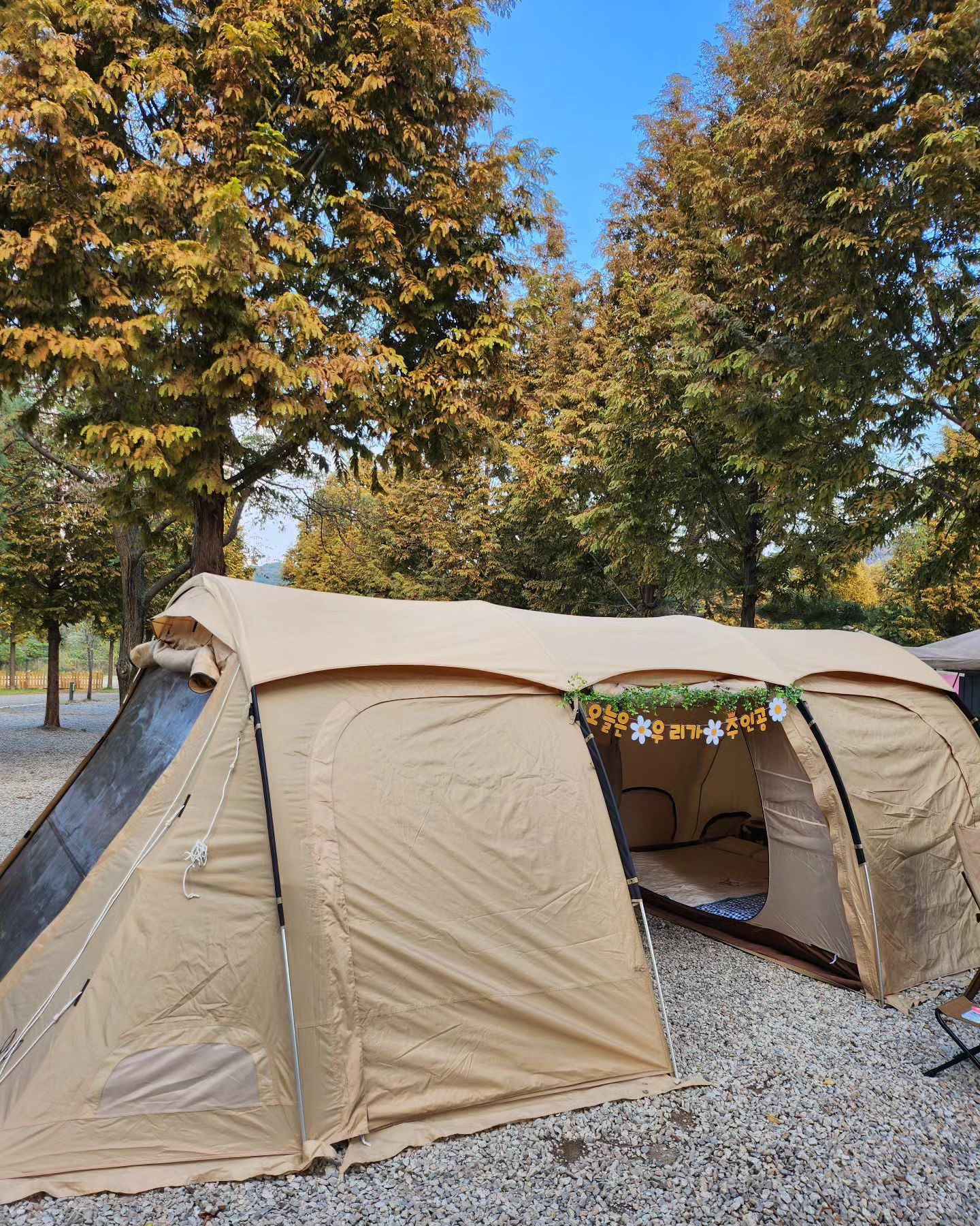 ☆JIJI CAMPING☆

같은날 태어난 친구끼리
생일캠🥰😍

같은날 진통하고
같은날 딸들 낳아 지금까지
좋은 인연 이어가고있는 사이입니다^^
평생간다는 조동이지요ㅎㅎ

#미즈캠
#생일캠
#가마보코3m 
#캠핑파크
#전세캠
#평일캠