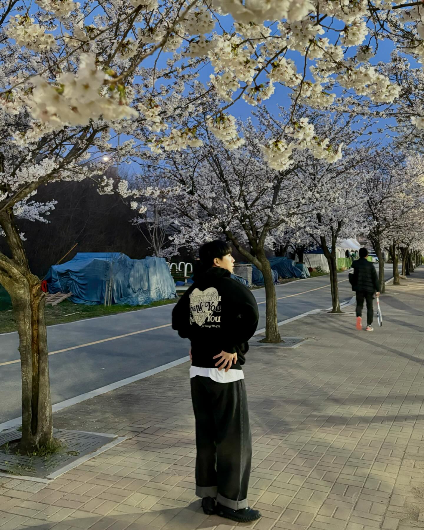 벚꽃 🌸 🌸

#한강#서울#벚꽃#데일리#데일리룩#일상#후드티코디 #코디#코디추천