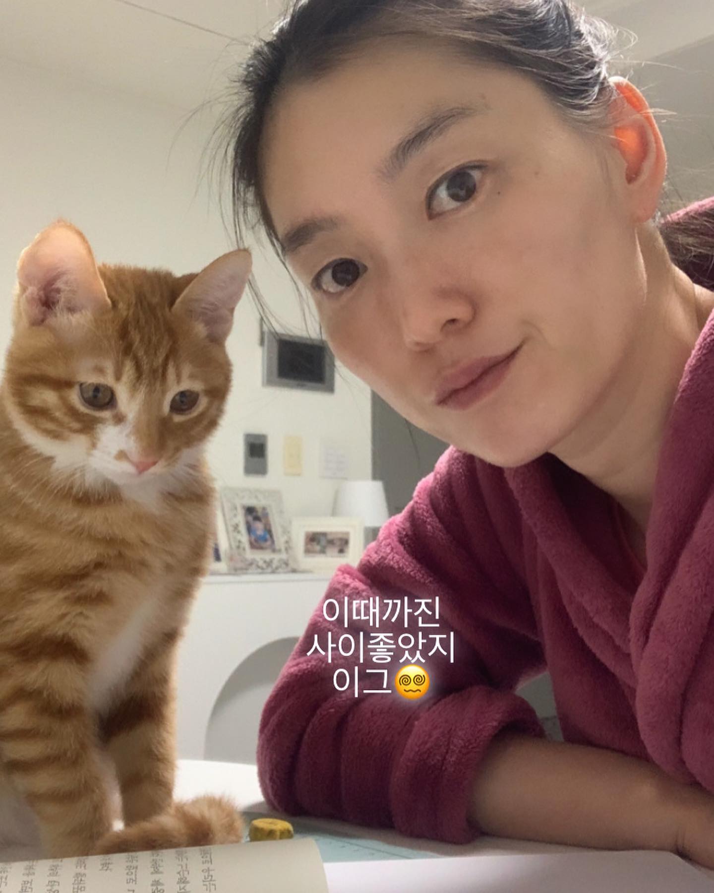 .
오늘 새벽에 나🤣
간만에 새벽까지 책상에 앉아있어봤어요😭
술을 새벽까진 먹어봤어도 맨정신으로는
오랜만이네요
애 다 키워 놓고 내것좀 하겠다는데 
갑자기 냥이육아를 할줄이야
딴데가서 놀라는데도 꼭 내앞에서 뭐도 못하게
왜이러는지~~
더 나이들기전에 언넝언넝 밤새야지 더 나이들면
이것도 못하겠구나😅
코코야  어린이는 일찍 자야되~~
울집에서  이렇게 늦게 자는 어린이는  코코가 첨이다. 무진장 말을 안들어요  이그이그
 
.
.
.
#이뻐서봐준다 #냥스타그램 #반려묘#치즈냥이 #일상기록 #새벽공부 #과제하다가 #일상#고앙이스타그램 #코코랑