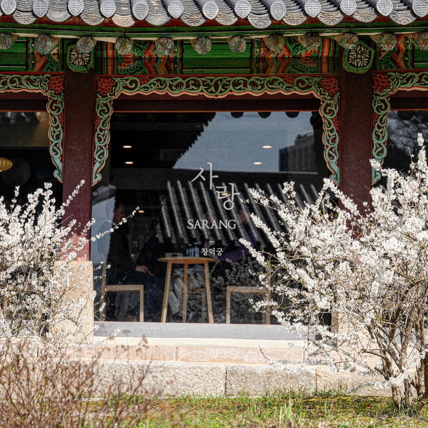 SARANG
창덕궁 

#korea #창덕궁