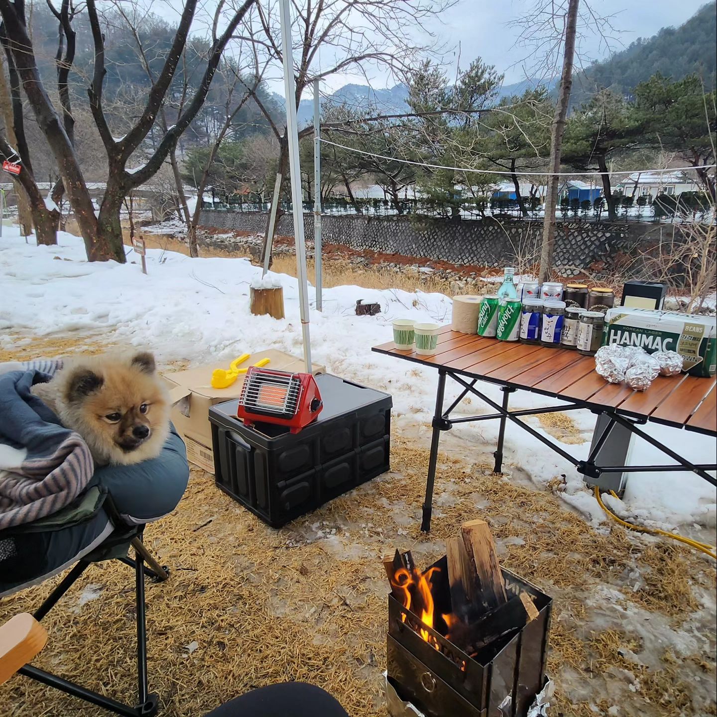 #happynewyear2024 🧧

나 엄빠랑 작년 마지막, 올해 첫 캠핑 🏕
찐하게 하구 왔다 !!

2박 3일 캠핑이 눈이 너무 많이 온 관계로
1박 2일 캠핑이 되버렸지만

#새해캠핑 #겨울캠핑 #설중캠핑 ❄️은
찐하게 재밌었댜구 🐶

댕댕이 친구들아 올 한해도 더 귀엽고, 더 건강하고,
새해 복 많이 받아 🙇‍♂️🙇‍♀️🙇