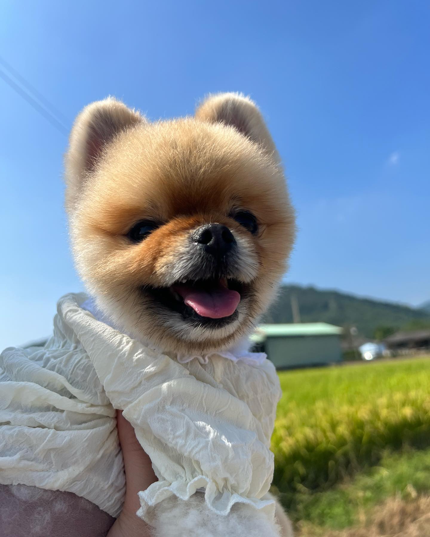 다들 즐거운 추석 보내쪄? 난 행복 구찌쓰^_^~