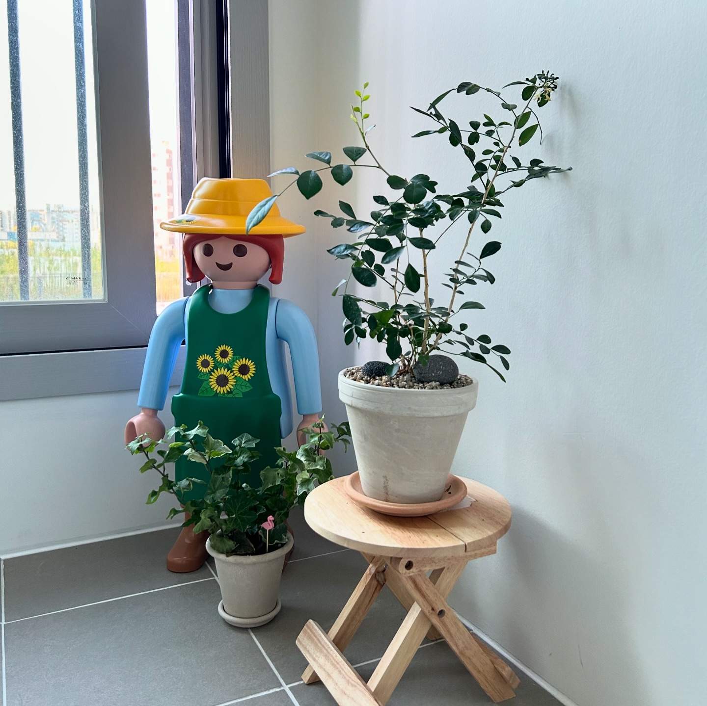 베란다 정원 재오픈💚🪴living_vely

아침 저녁으로 날이 확실히 선선해졌길래
우리 오자랑 사비. 그리고 정원의 수호신
드디어 다시 베란다 정원으로 옮겨뒀어요.😌

벌레 못들어오게 다이소에서 산 창문 틈새막이
이중으로 붙여주고 창문 열어뒀네요➰🌿

바람도 선선하고 혹여 햇빛이 너무 셀까봐
정원 수호신을 약간 그늘막으로 두고 
신경써서 배치해둔 나의 반려식물들 🪴⛅️

이제 진짜 가을인가봐요🍃✨

#베란다정원꾸미기 
#가을맞이하기