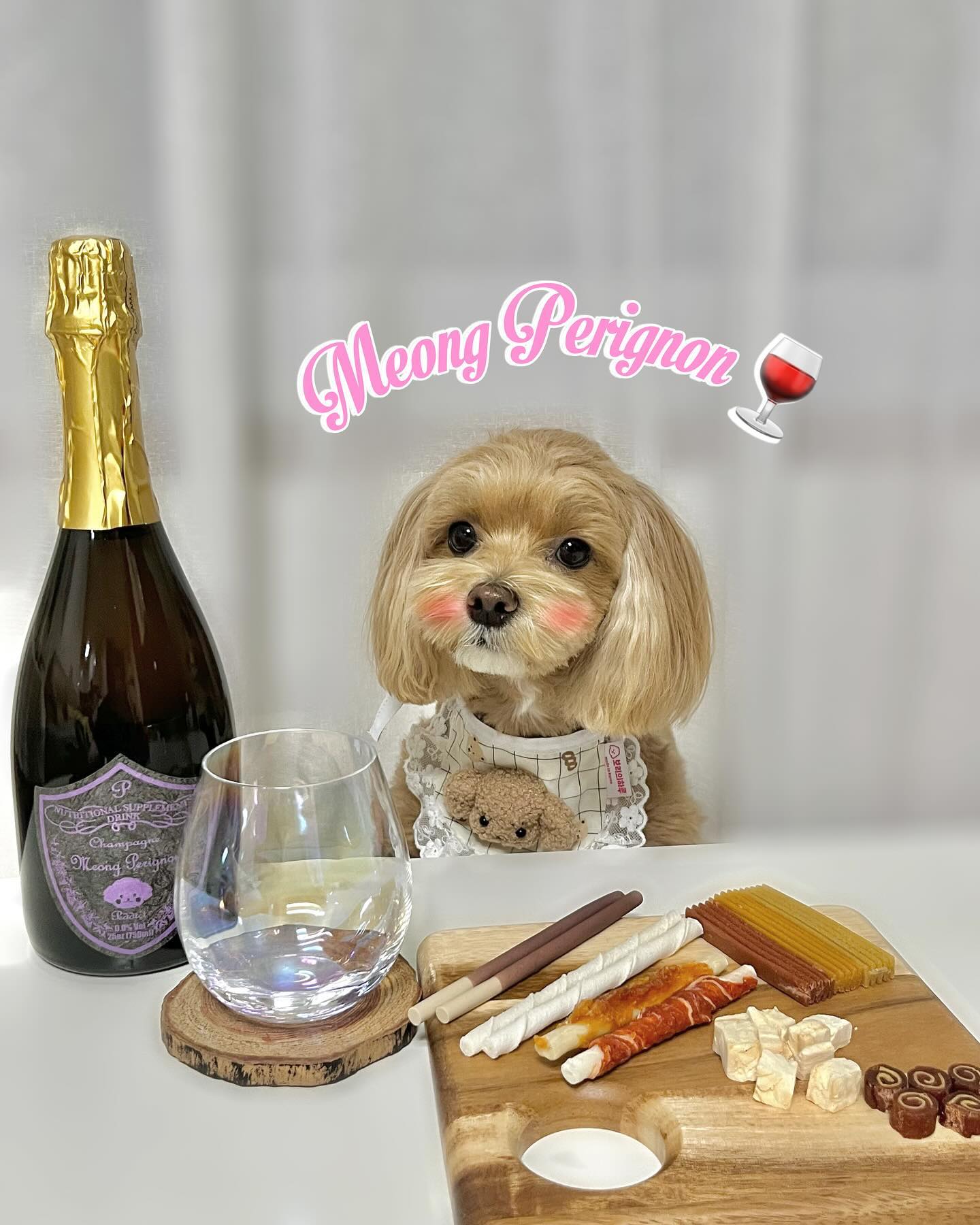 #협찬 
멍페리뇽, Meong Perignon🍷

칭구들 11월도 벌써 끝자락 .. ✨
벌써부터 연말 냄새 스멀스멀 나는거 나만 그래? 🫣

연말 파티, 기념일에 제격인 멍페리뇽은
수차례의 안정성 테스트를 통해 만든 
무알콜 하이엔드 비타민 음료인데,
우리도 엄마뺘랑 함께 즐기기에 제격인 샴페인같지 않아? 🍾

보기에도 고급진 멍페리뇽의 주원료는 
우리한테 영양만점인, 황태! 💛
평소에 물을 먹지 않거나, 
계절 변화로 음수량이 줄은 아이, 
결석 및 음수량 부족으로 질병을 앓은 아이들에게 
단백질이 풍부하고, 저지방 프리미엄 식품인 
‘황태’로 우려낸 육수를 사용하여 우리들의 스트레스 완화에 
도움을 주고, 면역력 강화와 체력을 보충해준다구! 👍🏻🤍

소주파인 울엄마빠는 소주나 먹으라지〰️
나는 연말 파티할때 고급진 멍페리뇽 한잔할꺼야, 힛! 🙈

칭구들도 연말준비 멍페리뇽이랑 함께해보ㅈF 🥂✨
.
.
.
.
.
#멍페리뇽 #반려견파티 #애견파티 #강아지샴페인 #펫푸드 #반려견생일파티 #애견생일파티 #반려견간식 #애견간식 #반려견그램 #댕댕이그램 #멍멍이 #나는짜짜 #말티푸 #maltipoo #견주소통 #반려인소통 #멍팔환영 #멍팔맞팔 #멍팔 #좋아요