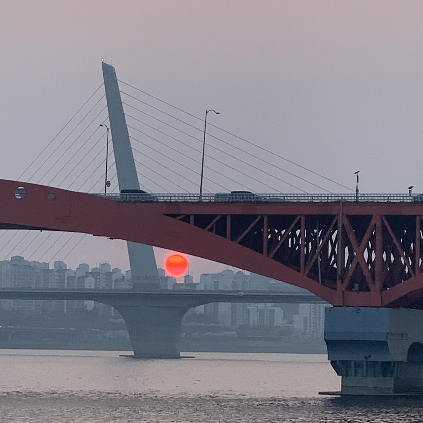 순간순간을 전부 기억하고 싶은 이번 주말☀️