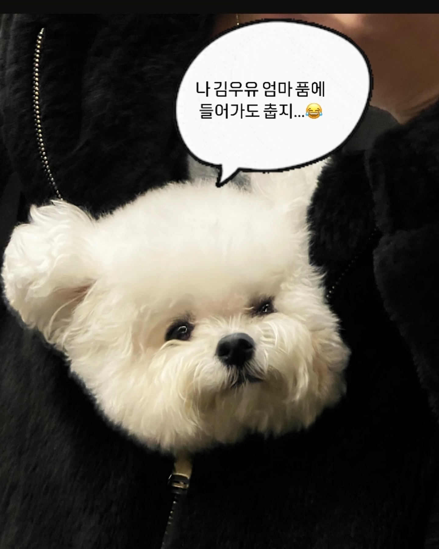 김우유 안춥지?
배가 불렀구나