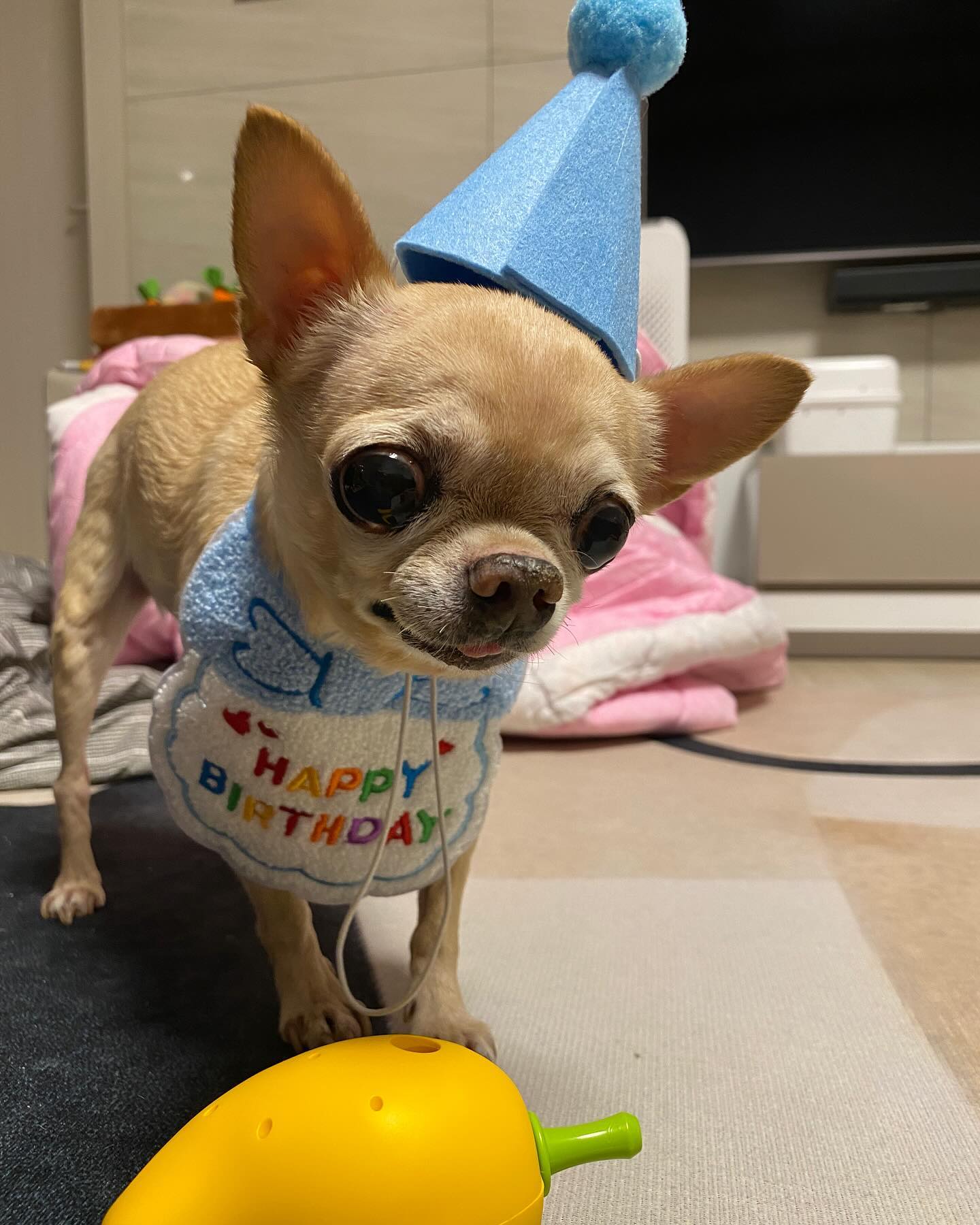 린스컴 13번째 생일을 축하해💙
아프지말고 20번째 생일파티까지 꼭하자🎂
