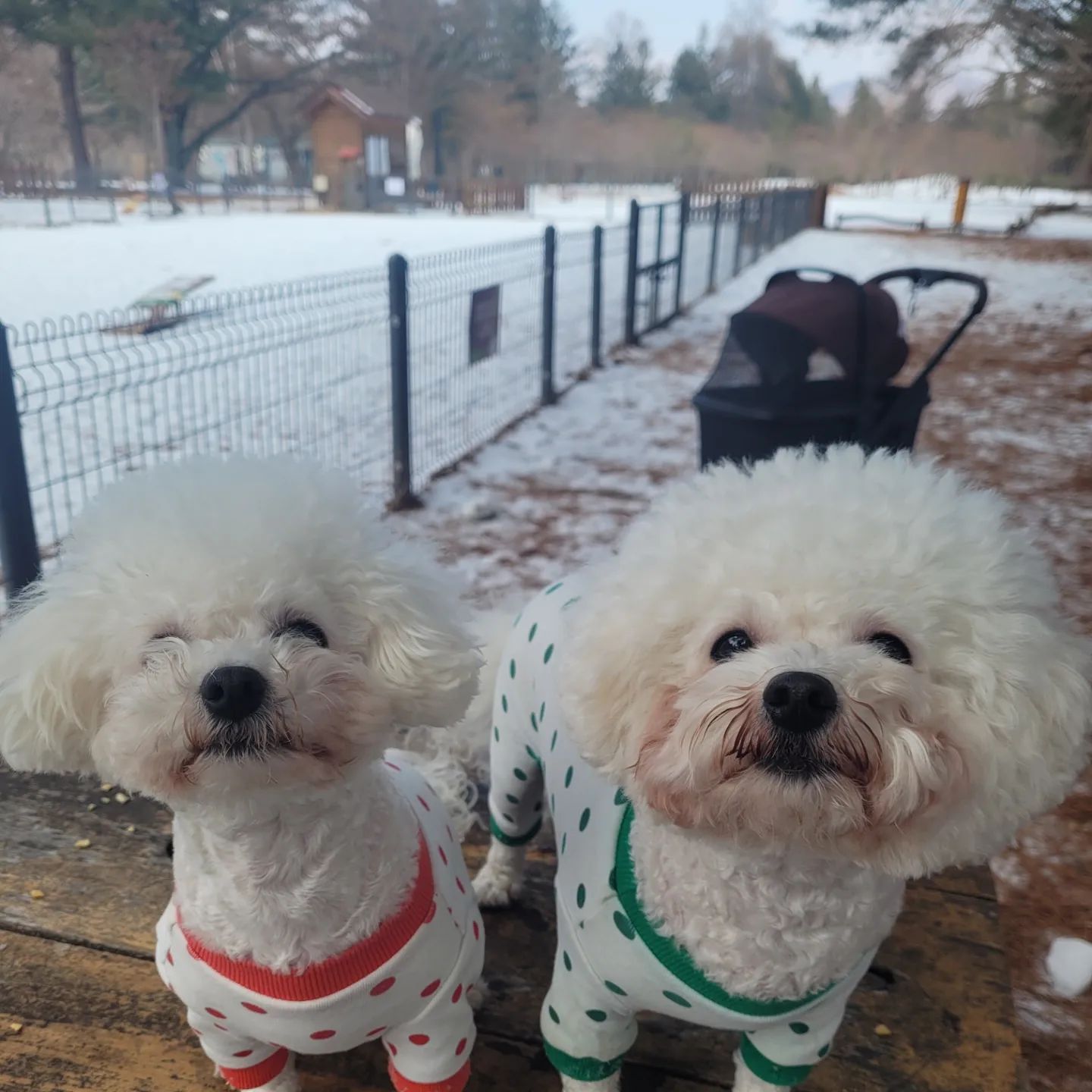 #남이섬