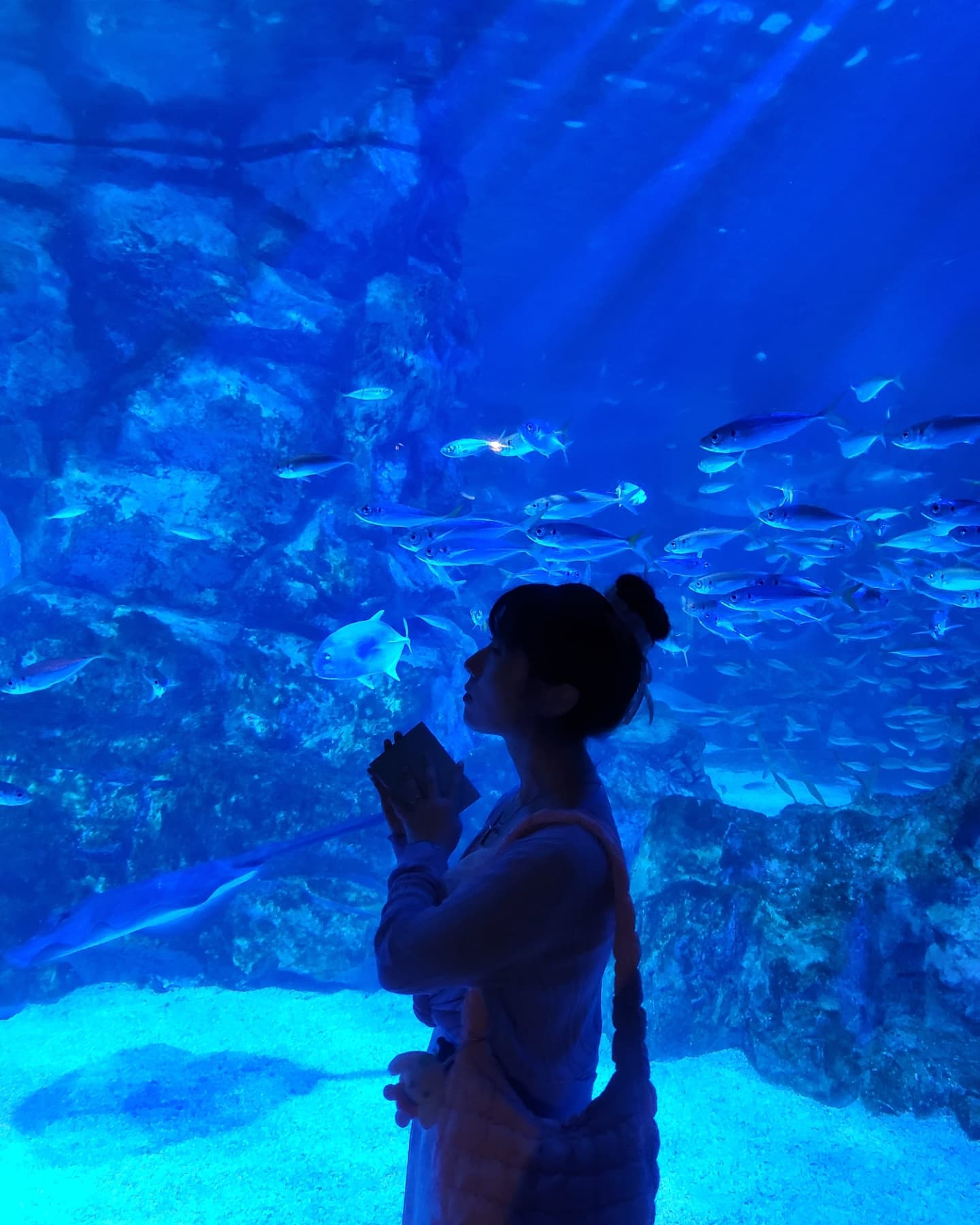오빠랑 💙
코엑스 아쿠아리움 데이트 첫번째🪼🧜‍♀️🐠🐟🦈
whit 모여봐요 동물의 숲🍀
ㆍ
ㆍ
ㆍ
ㆍ
ㆍ
ㆍ

#코엑스아쿠아리움 #모여봐요동물의숲 #coex #aquarium #럽스타그램 #데이트코스 #삼성놀거리 #사진장인남치니 #일상스타그램 #밤돌이콩돌이 #오랜만에업로드 #forever💕 #일반카메라📷 #아쿠아리움🐳 #셀스타그램 #전신스타그램 #부엉씨 #동숲 #닌텐도스위치동물의숲 #행복한시간💕