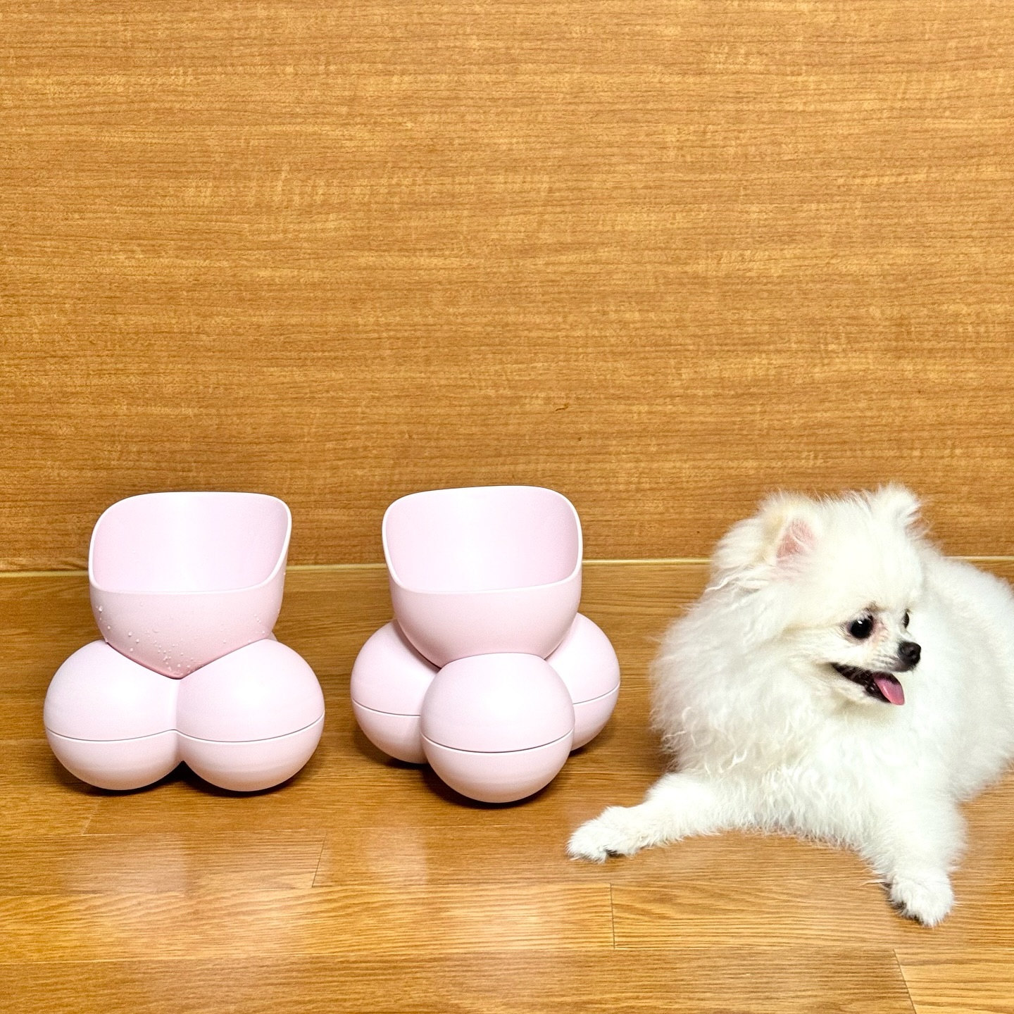 #협찬 

dogtoc_official

우리 모찌 이쁜 밥그릇 바꿔주었어요. 🐶
이름도 모양도 너무 예쁜 독톡 
오유 O'U' 슬로우식기 인데요
너무 예쁘죠?

꼭 오브제같은 느낌인데
예민한 우리 모찌 주변 시야도 가릴수 있고, 
위치나 필요에 따라 각도 조절로 다양한 높이 위치에서 
사용가능해서 좋아요

급하게 먹는 아이들에게는 슬로우 식기로도 활용가능하다는 사실!

디자인도 예쁜도 기능까지 넘 맘에드는 
우리아이 밥그릇 
덕분에 사료도 너무 잘먹는다니깐요!

#강아지밥그릇 #강아지식기 #슬로우식기 #급체방지식기 #강아지물그릇 #고양이밥그릇 #고양이물그릇 #고양이식기 #독톡