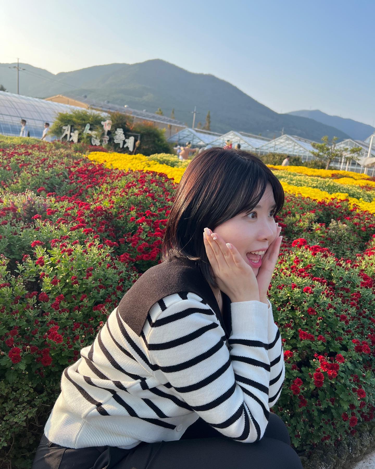 꽃 조하요🌷💛 
#거제섬꽃축제 #거제가볼만한곳