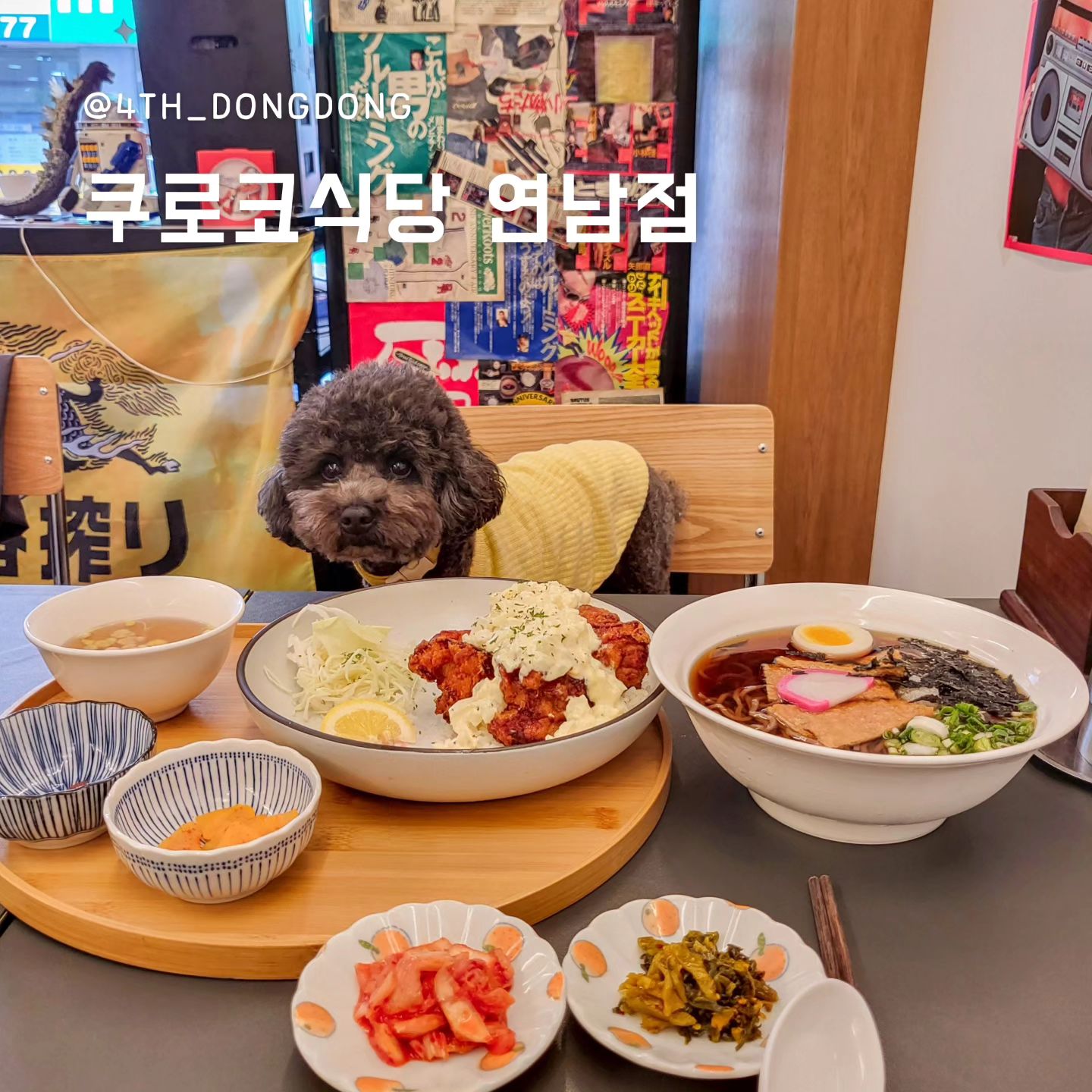 kuroko_seoul #쿠로코식당
#연남동소바 #연남동애견동반 #연남동애견동반식당

일부로 애매한 시간에 갔는데도 빈 좌석 하나 없던 찐맛집 [쿠로코]
"국물이 끝내줘요"라는 말이 그냥 자동으로 나오는 [쿠로코]

🥄한줄평 : 냉소바 어나더레벨 😆

🔸️비교 불가, 소바 맛집 🍜 
쿠로코식당에는 자가제면 기계가 있을 정도로 면에 진심인 곳 🤤
제가 정망 다양한 면요리 맛집을 가봤는데요 🍜
자가제면 기계 있는 곳은 무조건 맛집이라는 팁 아닌 팁!
면도 쫀득쫀득하니 입에 촥촥 감기는데,
여기에 국물도 달달하고 시원하니 저도 모르게 완뽕! 아니 완바! 😆

🔸️신메뉴 치킨난반 정식도 어나더레벨
주먹만한 치킨에다가 달달 부드러운 타르타르 소스의 조합 🤤
가격은 저렴한데 맛은 너무나 고급스러워서 완밥해버렸다쥬!
가격과 맛 때문에 자주 방문할 예정인 쿠로코❤️

🔸️일본 갬성 가득한 공간 🇯🇵
일본풍으로 꾸민 공간이 일본 노래가 흘러 나오고, 
또 어렸을 적 보던 만화영화 캐릭터들이 가득한 갬성 가득한 곳 ☺️
아기자기하니 이뻐서 어디에서 사진을 찍든 예뿌게 나와요~

🍽쿠로코식당 연남점
📍서울시 마포구 동교동27길 83
⏰️월~토 11:30~21:00, 일 정기휴무
📝반려견 동반 가능

#소바맛집추천 #냉소바맛집 #연남동맛집 #연남동맛집추천 #연남동데이트 #연남동데이트맛집 #연남동데이트장소 #연남애견동반 #연남동혼밥 #연남동애견동반술집 #홍대애견동반 #홍대애견동반식당 #홍대소바 #홍대라멘맛집 #홍대카레맛집