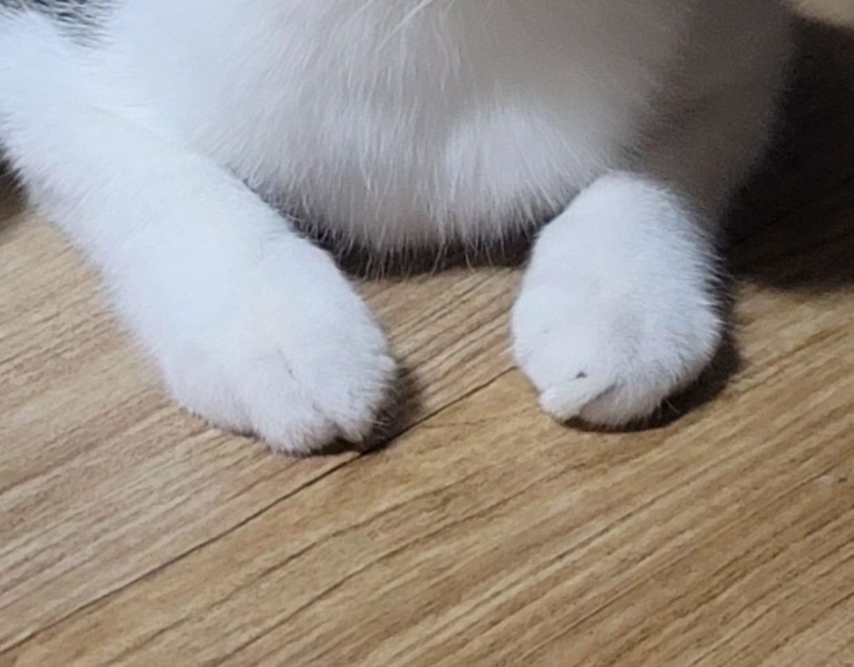 왓ㄷㅓ ....! 
욕먹은거같은 느낌적인느낌