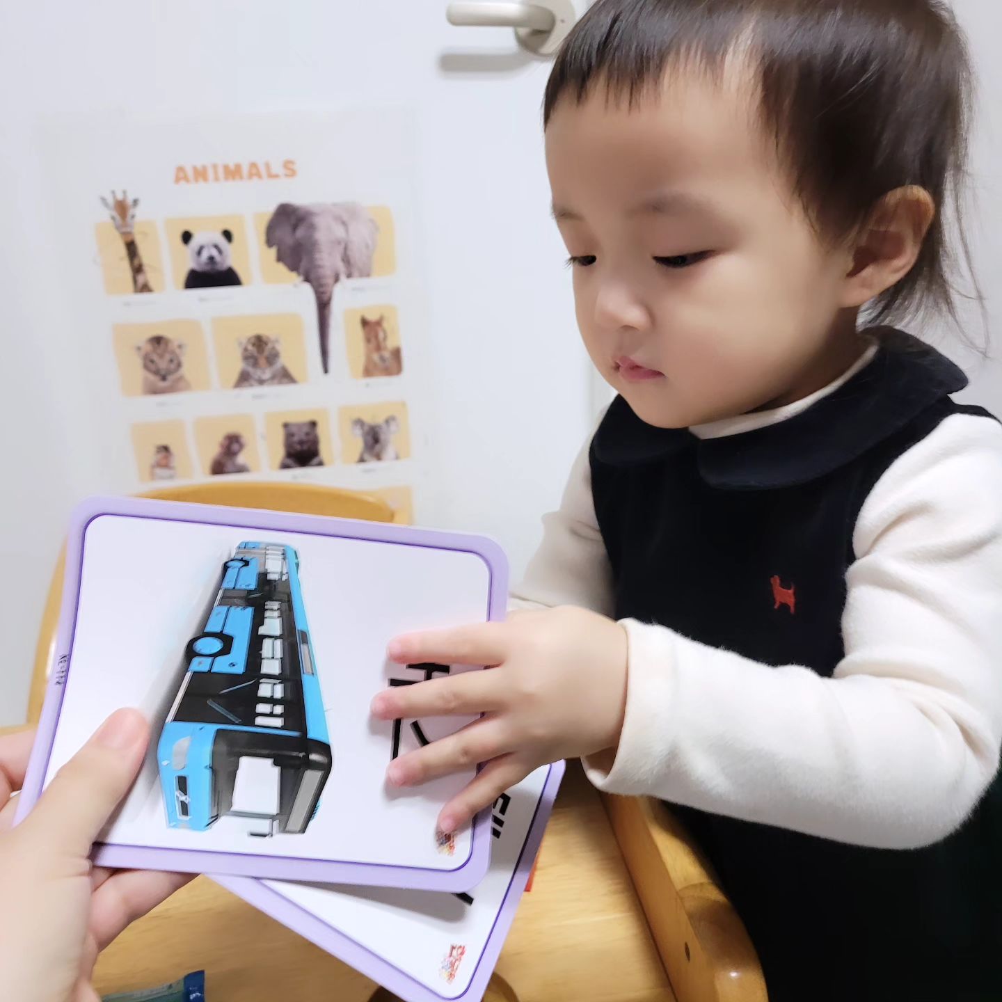 #협찬 
이제 말하기 시작하는
우리아이 #한글공부 시키기🥰
아직 자동차만 좋아해서
자동차카드만 모으는 중이지만💕
한글에 익숙해질 수 있도록
그림카드 놀이 하면서 놀고있어요😸
그림이 아닌 실사가 담겨있어 좋고
둥근 모서리로 처리되어 안전하고💗
한글학습 1단계중 #첫단계낱말카드
0~3세를 위한 한글 기본 자음 모음 및
쉽게 접할수 있는 필수 낱말카드 120장
카드 뒷면에 점면 따라쓰기도 가능하고😍
놀이를 통해서 낱말공부 할 수 있어
너무 좋은 #EBS한글용사아이야 👍
.
.
.
#한글낱말카드 #한글공부 #우리아이첫낱말카드 #조카선물 #낱말놀이 #한글놀이 #3세선물 #맘스타그램 #육아맘소통 #육아맘맞팔 #소띠맘소통