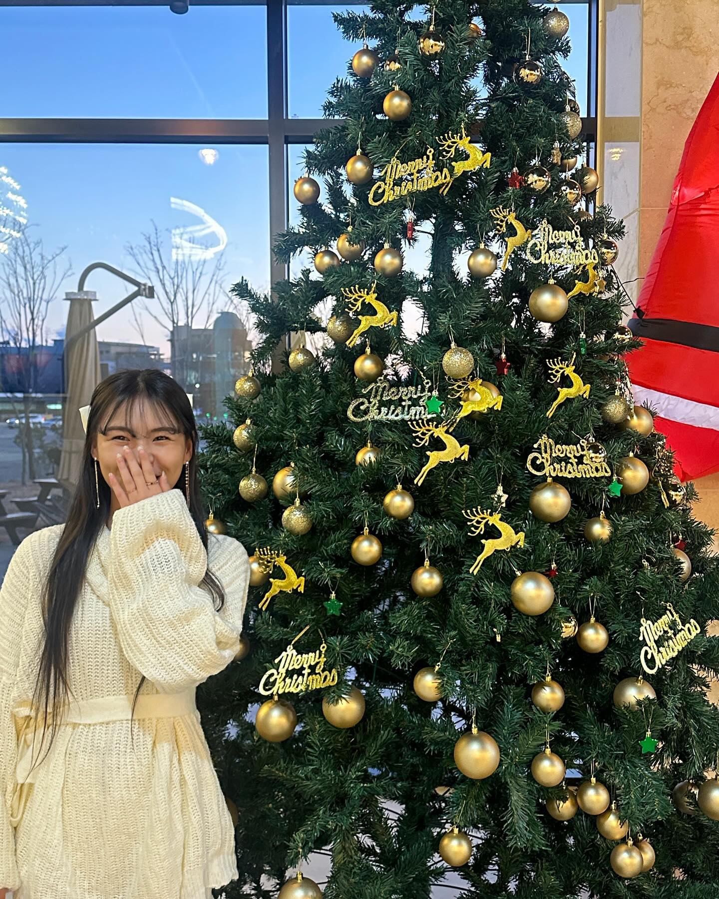 트리 질리도록 보는 쥬웅 ~~🎄♥️