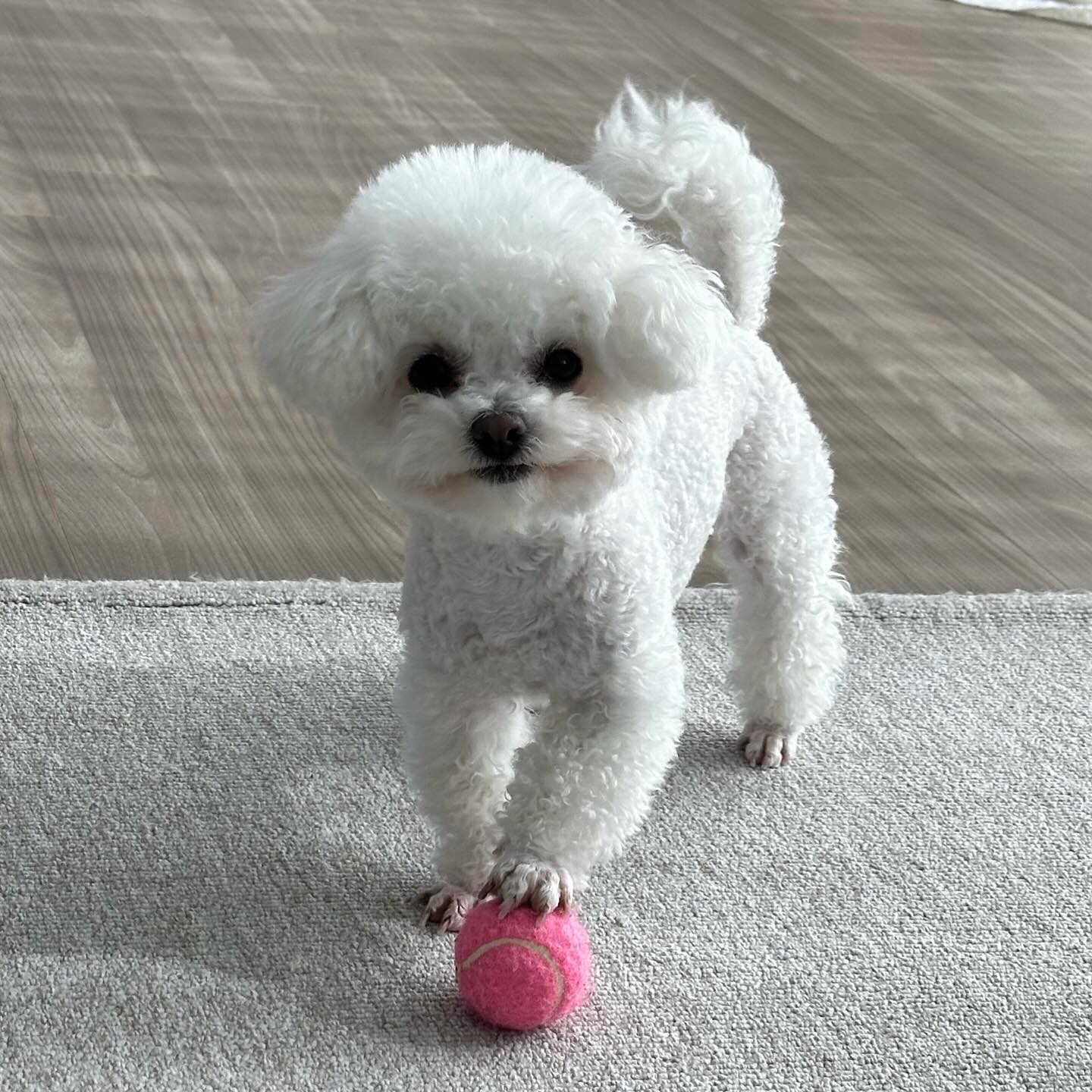 내꿈은 젤키퍼⚽️